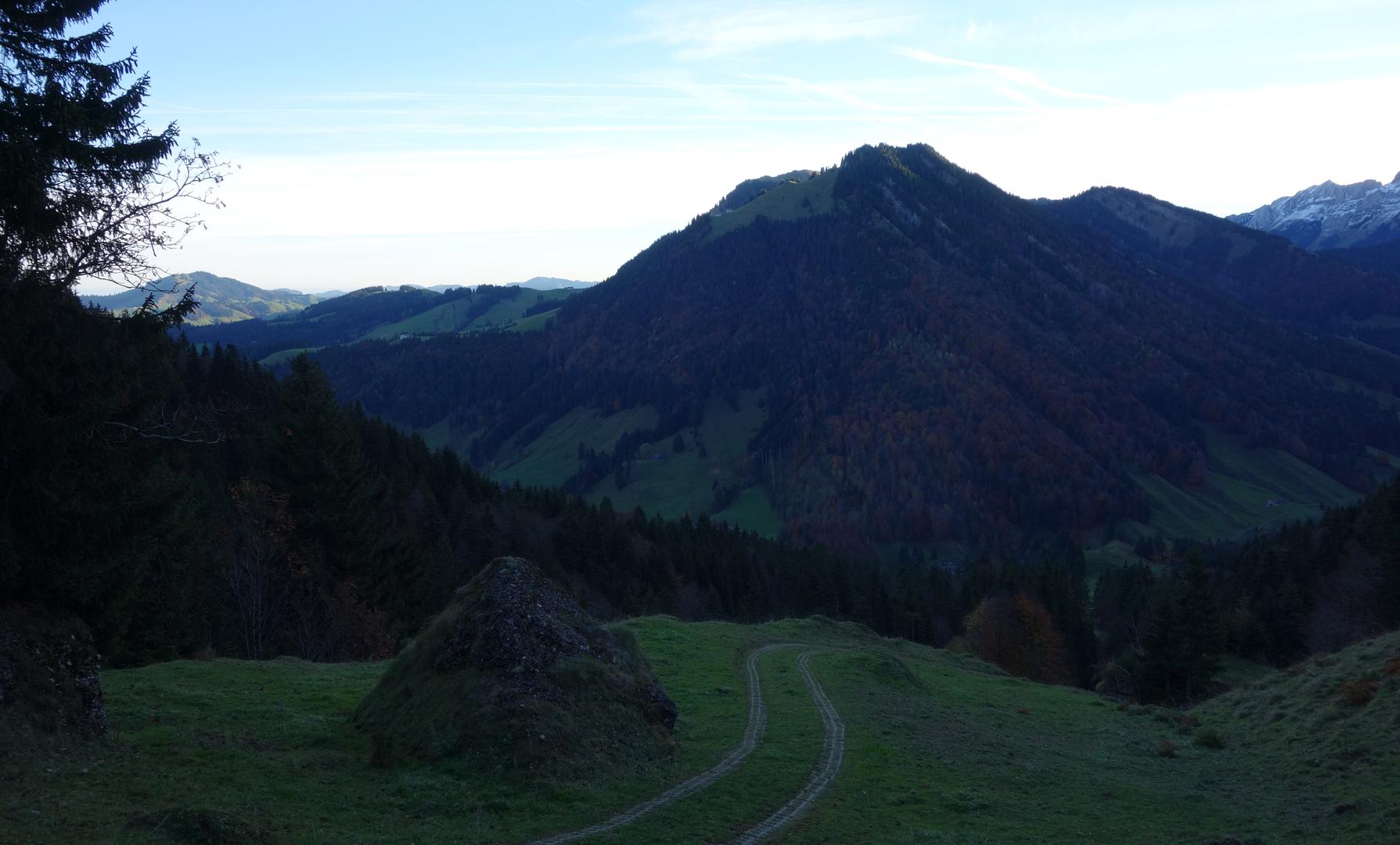 Steile Straße zur Alp Faltig