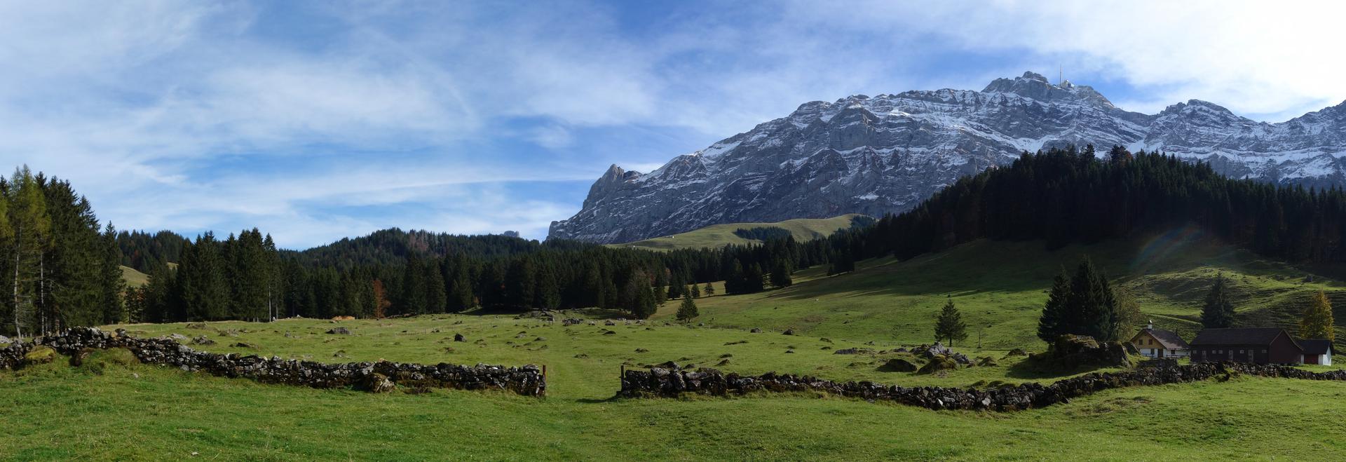 Steinmauer auf Alp Aueli mit Säntis