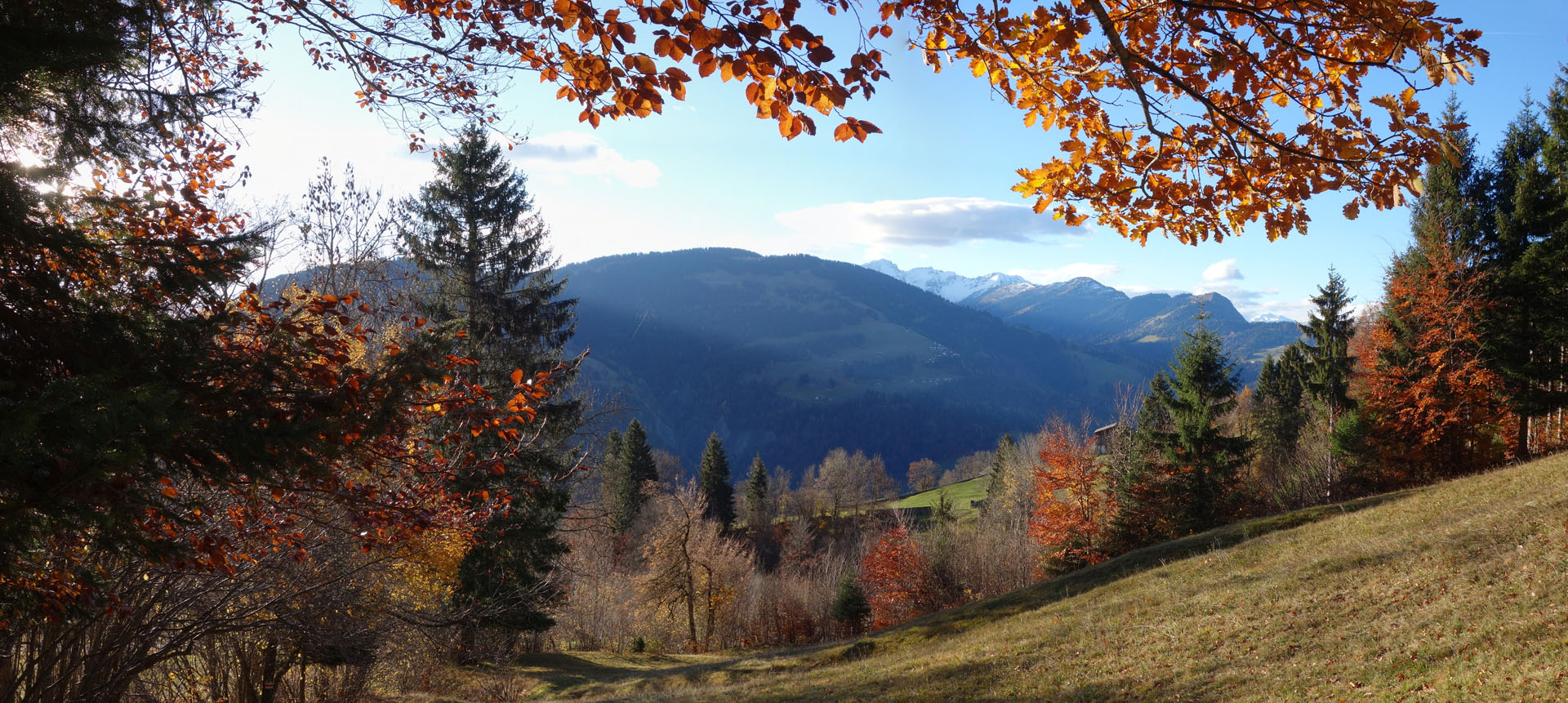 Herbst in Alpen