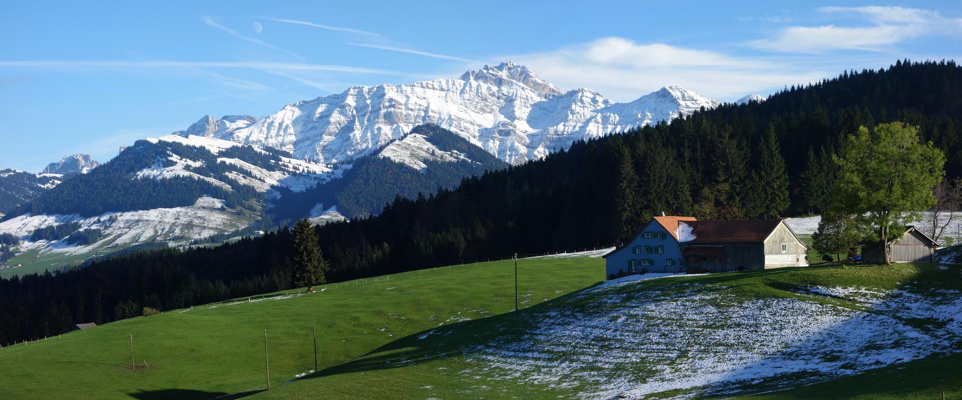 Säntis mit Schnee hinter Grüner Wiese
