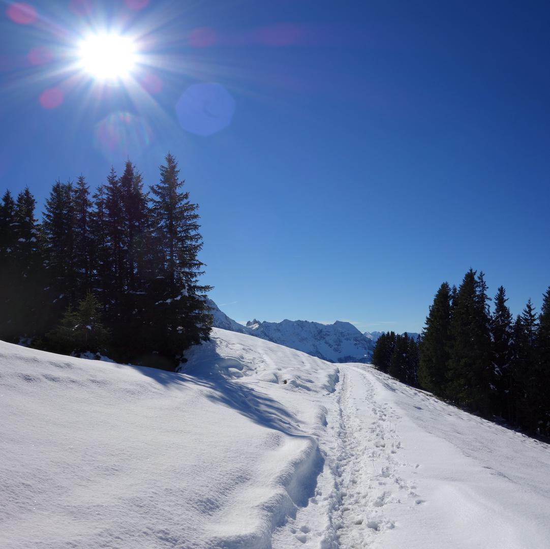 Trampelpfad im Schnee