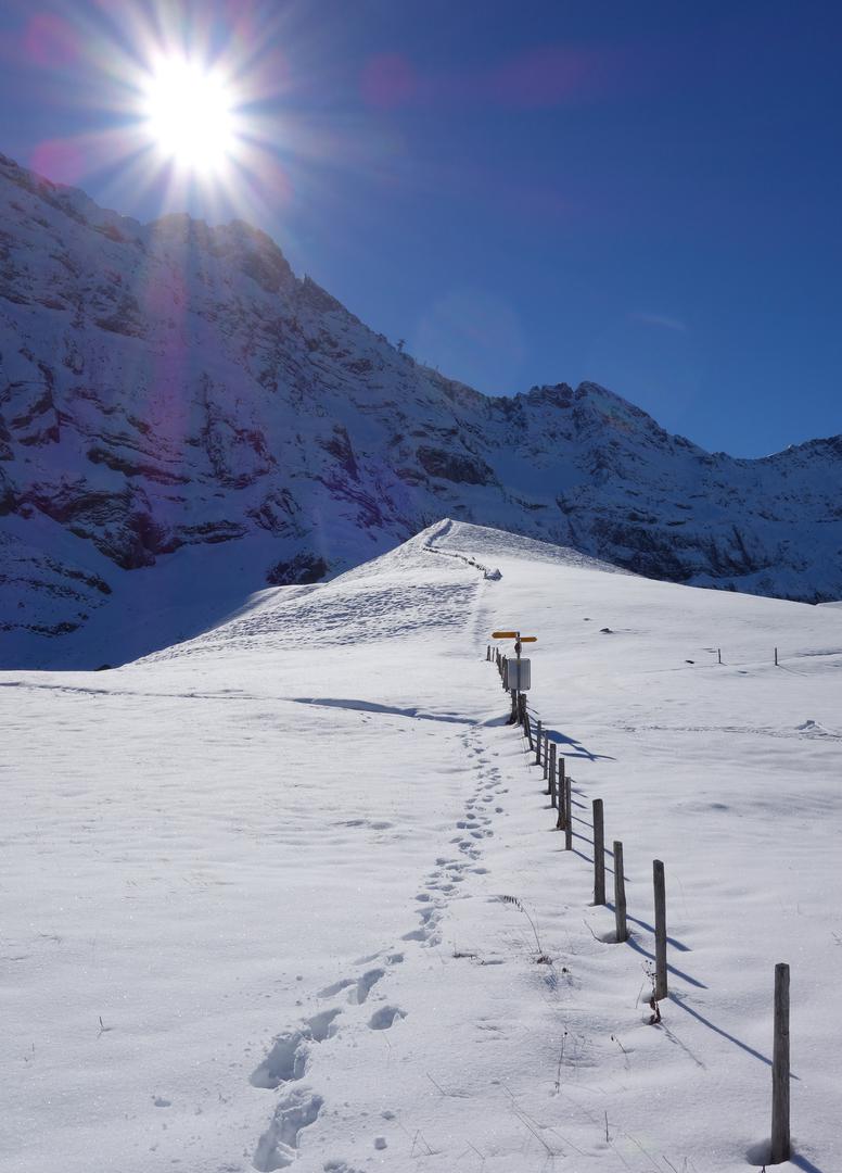 Weg zur Chammhaldenhütte