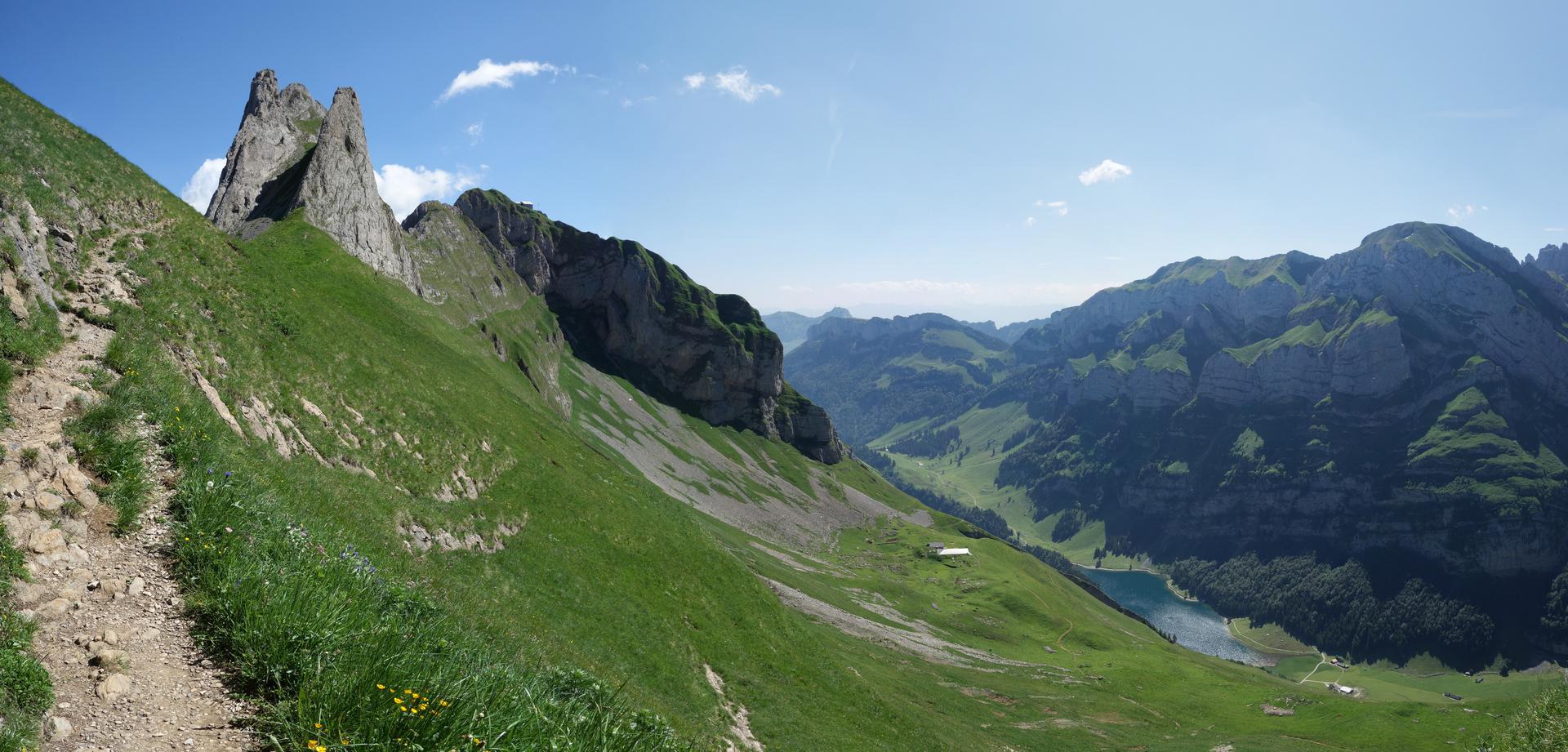 Blick auf Schäfler und Seealpsee