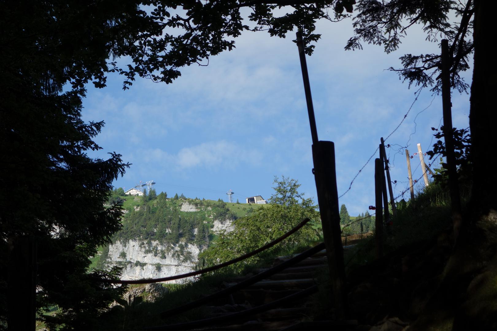 Blick aus Dunklem Wald zur Ebenalp