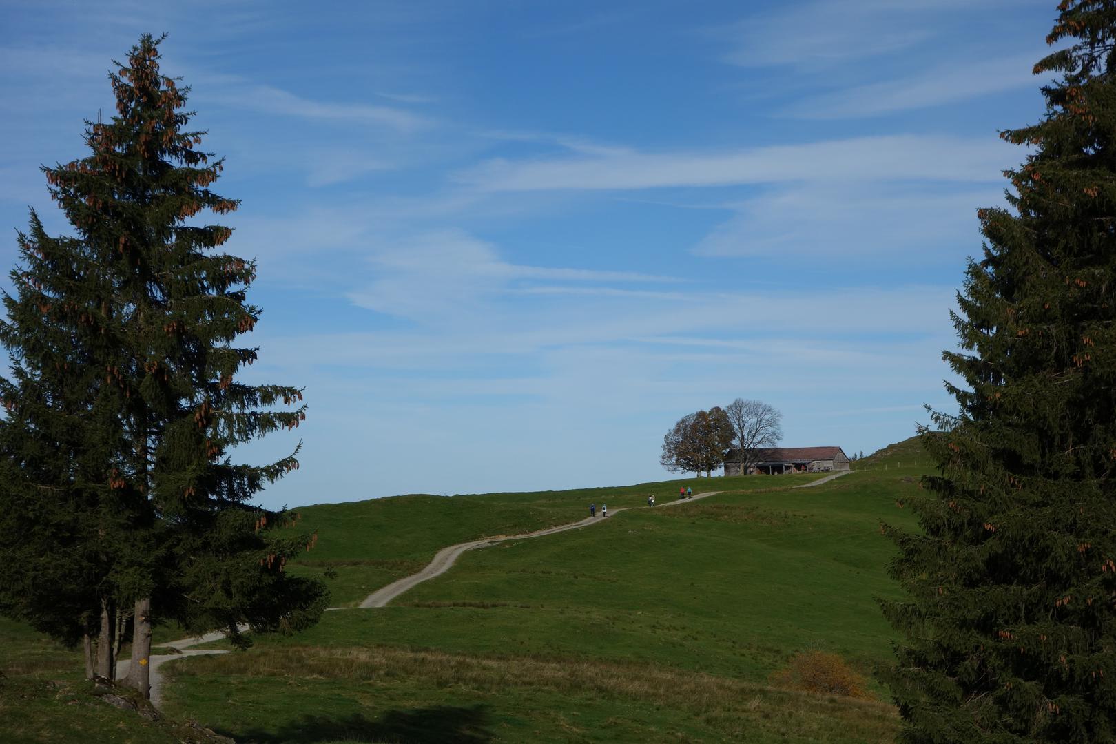 Fahrweg Lauftegg mit Bauernhaus