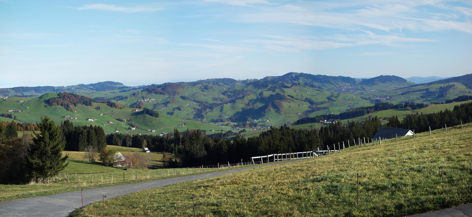 Fahrweg zur Scheidegg mit Blick auf das Appenzeller Land
