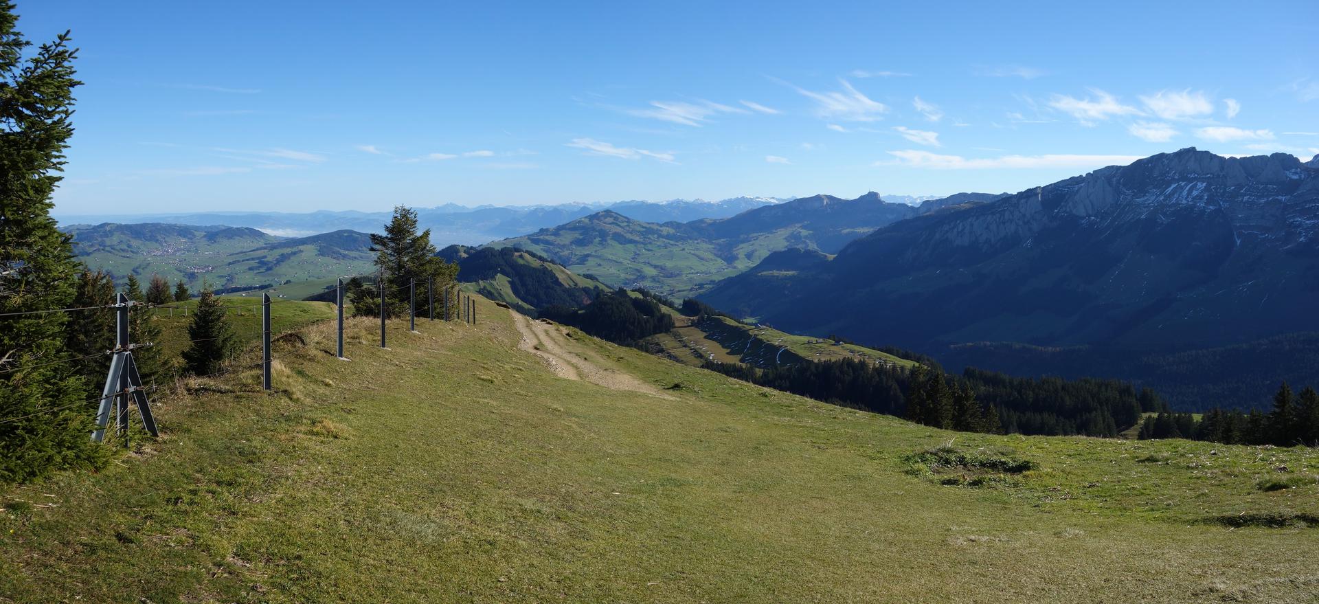 Grasrücken auf dem Kronberg