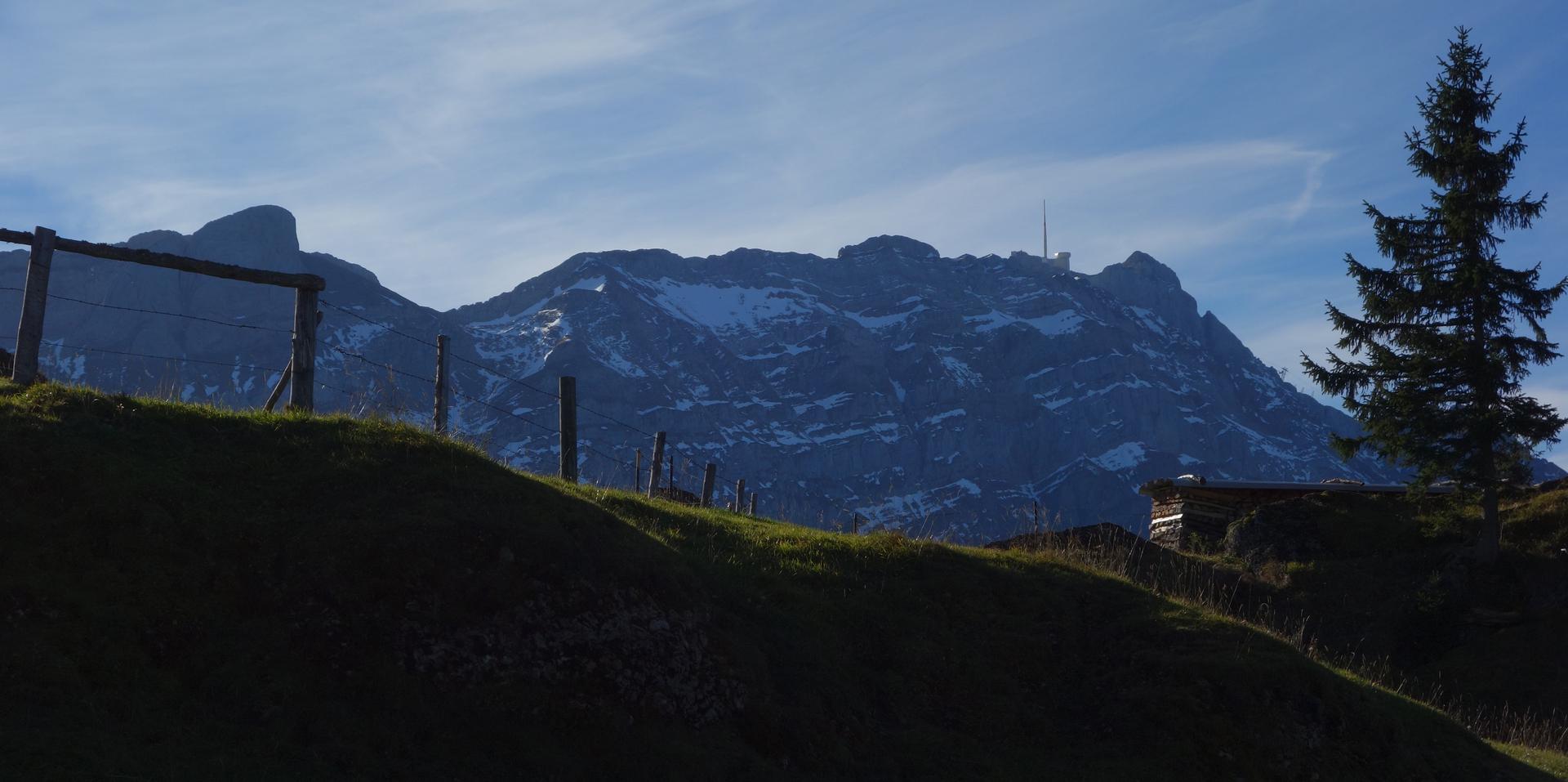 Grat des Kronbergs mit Säntis
