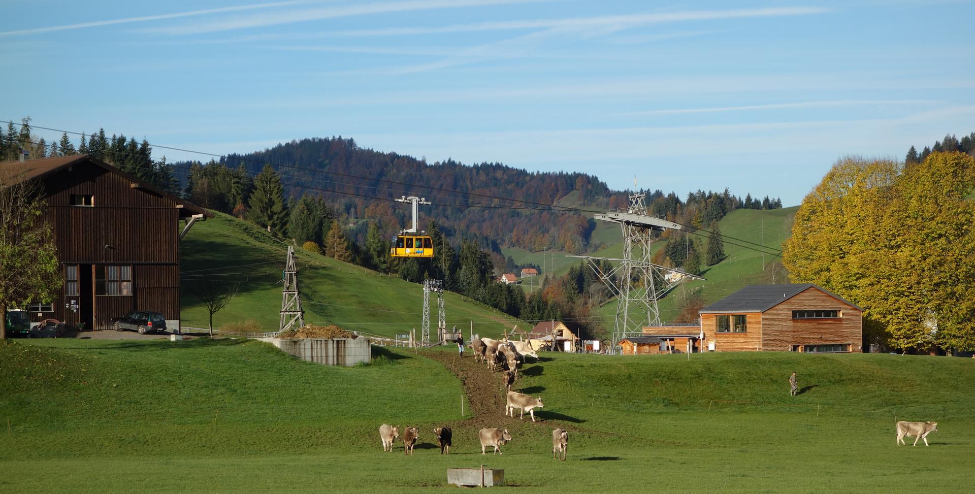 Kronbergbahn vor Kuhweide