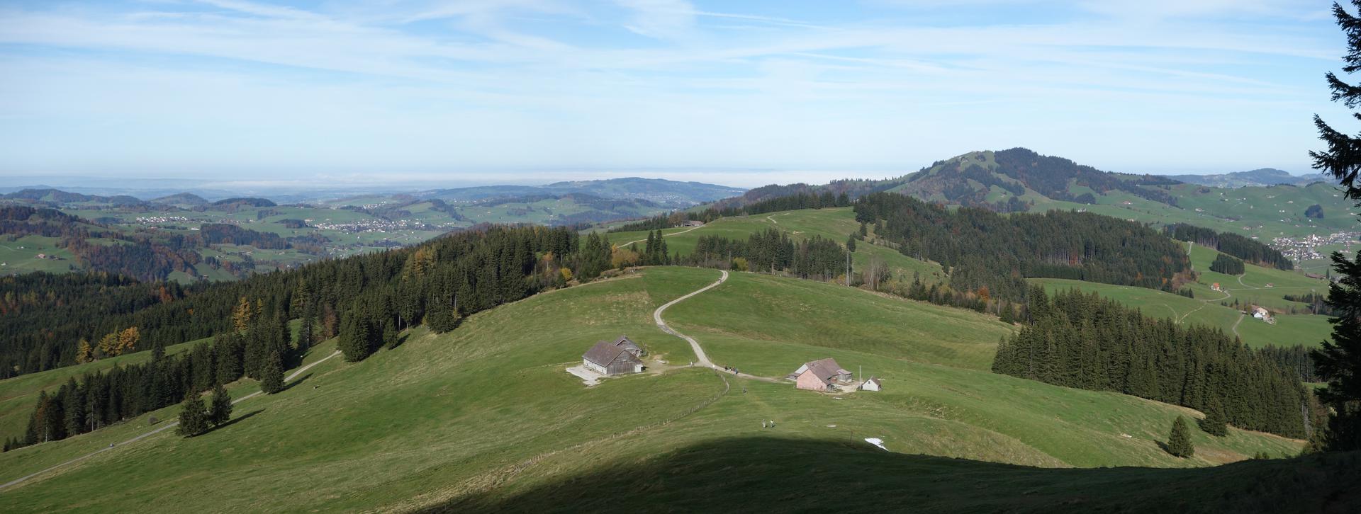 Rücken des Laufteggs