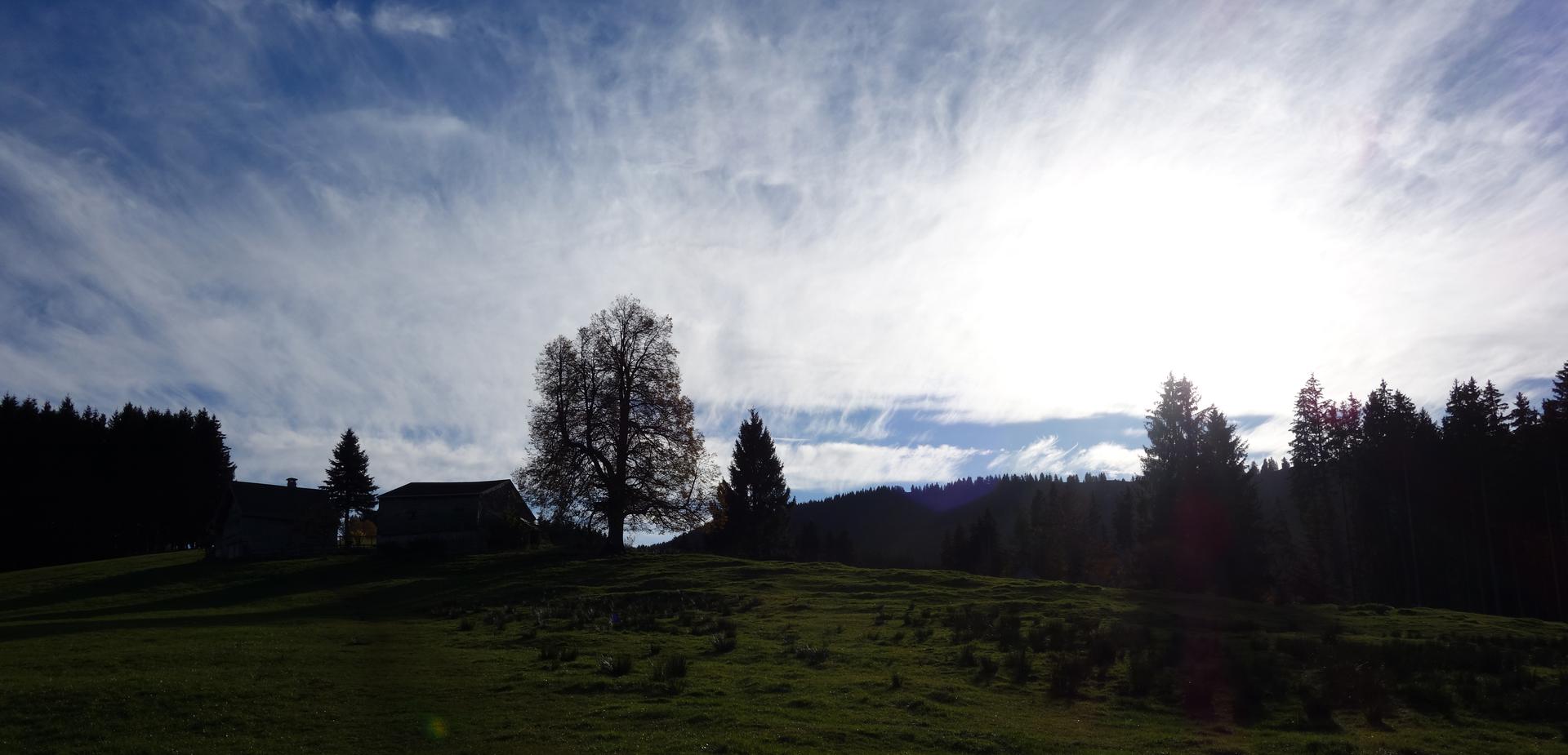 Schleierwolken und Wiese