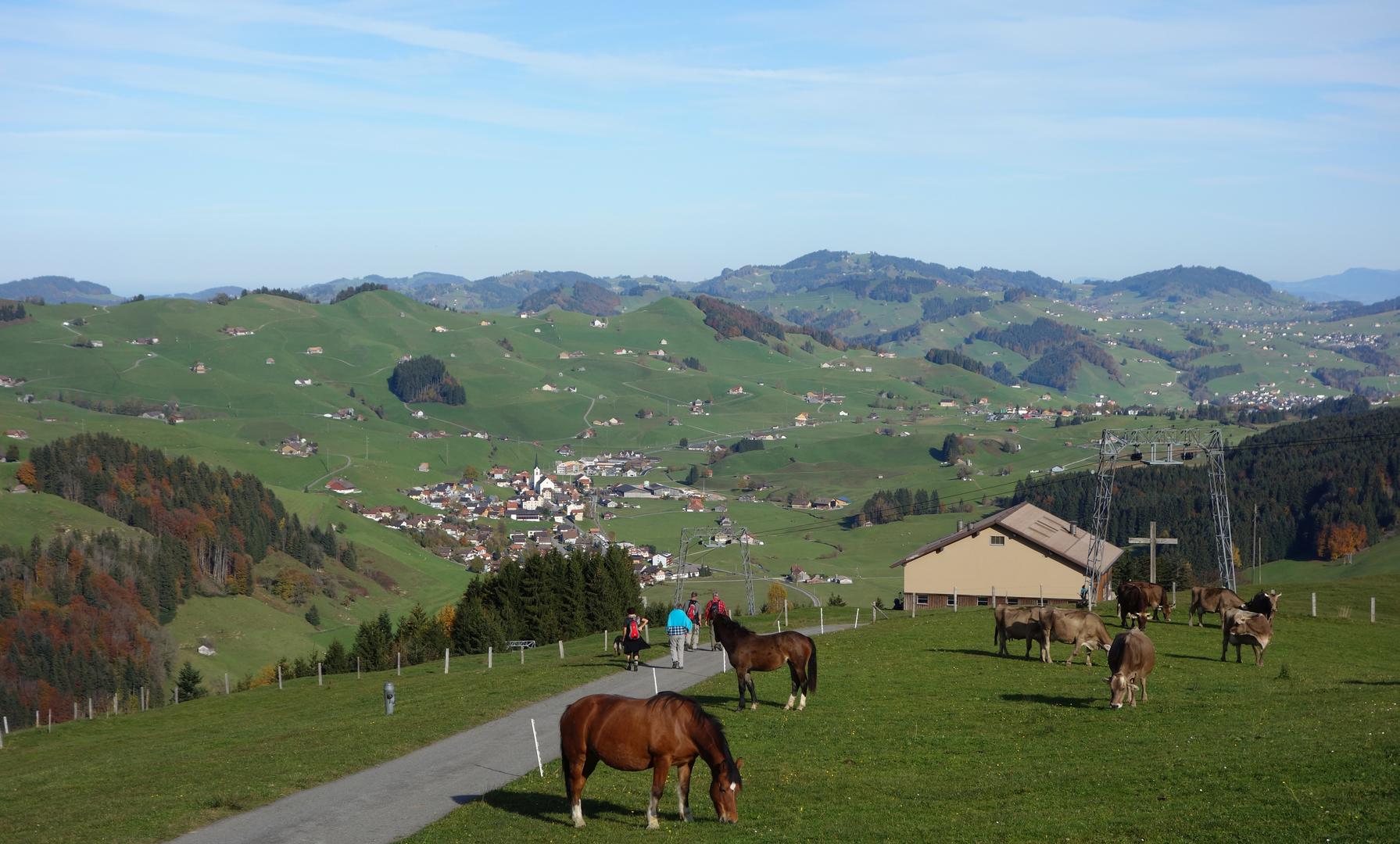 Skilift Lauftegg mit Pferden vor Gonten