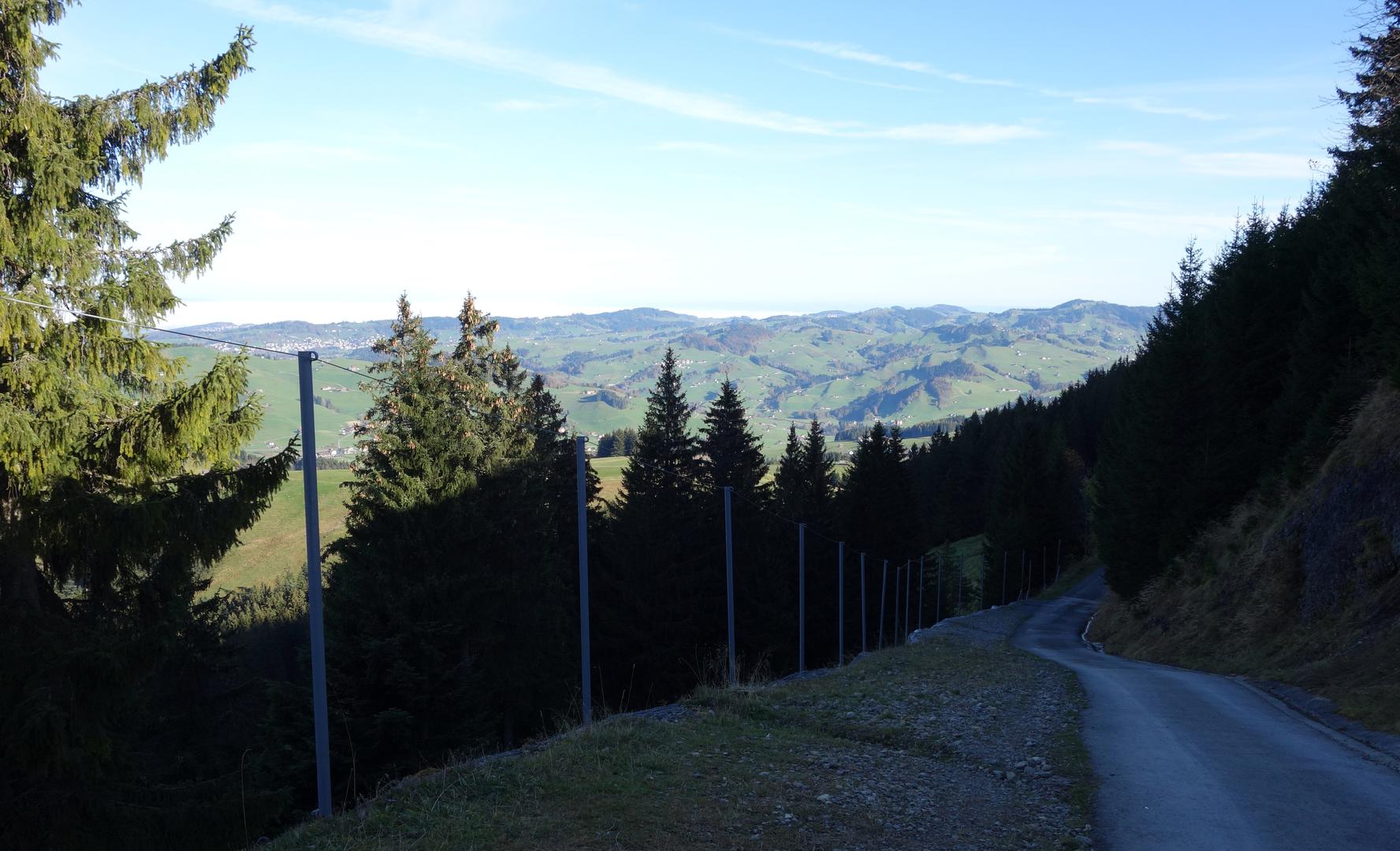 Steile Straße im Schatten