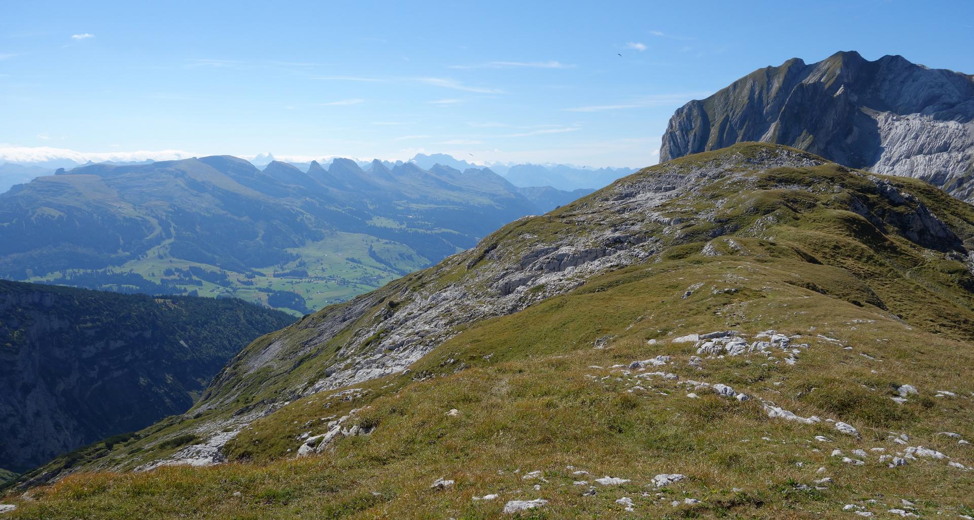 Grasrücken im Alpstein