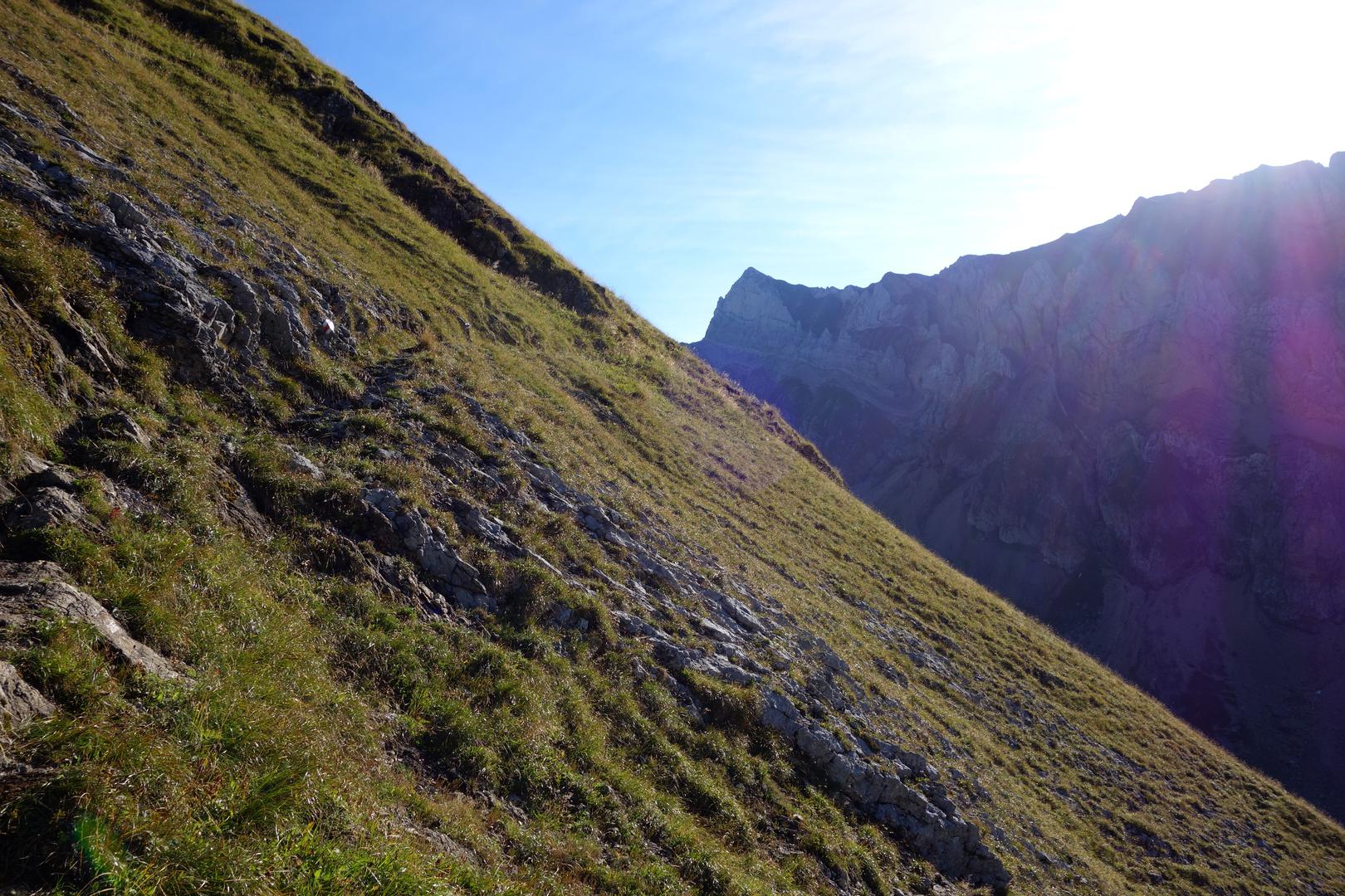 Schmaler Pfad an steilem Grashang