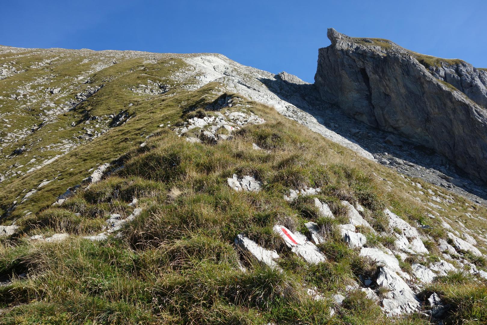 Steiler Weg zum Säntis