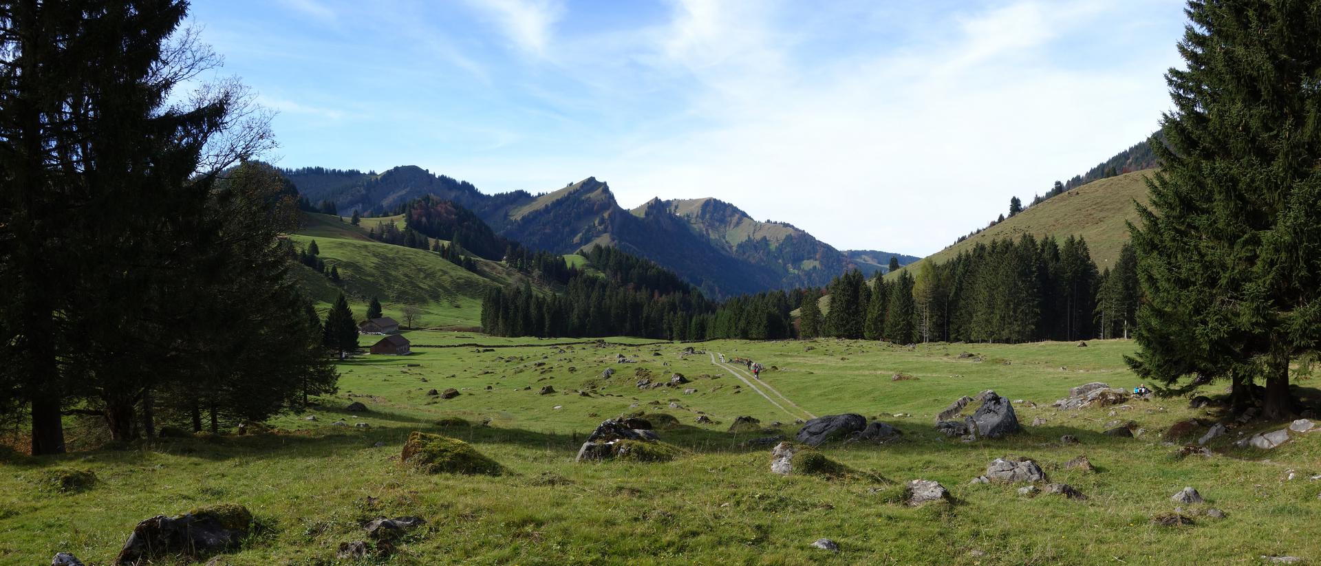 Alp Aueli