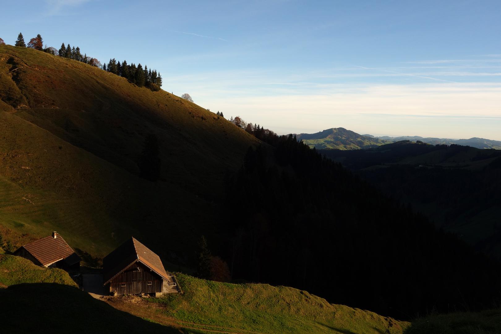 Alp Faltig im Morgenlicht