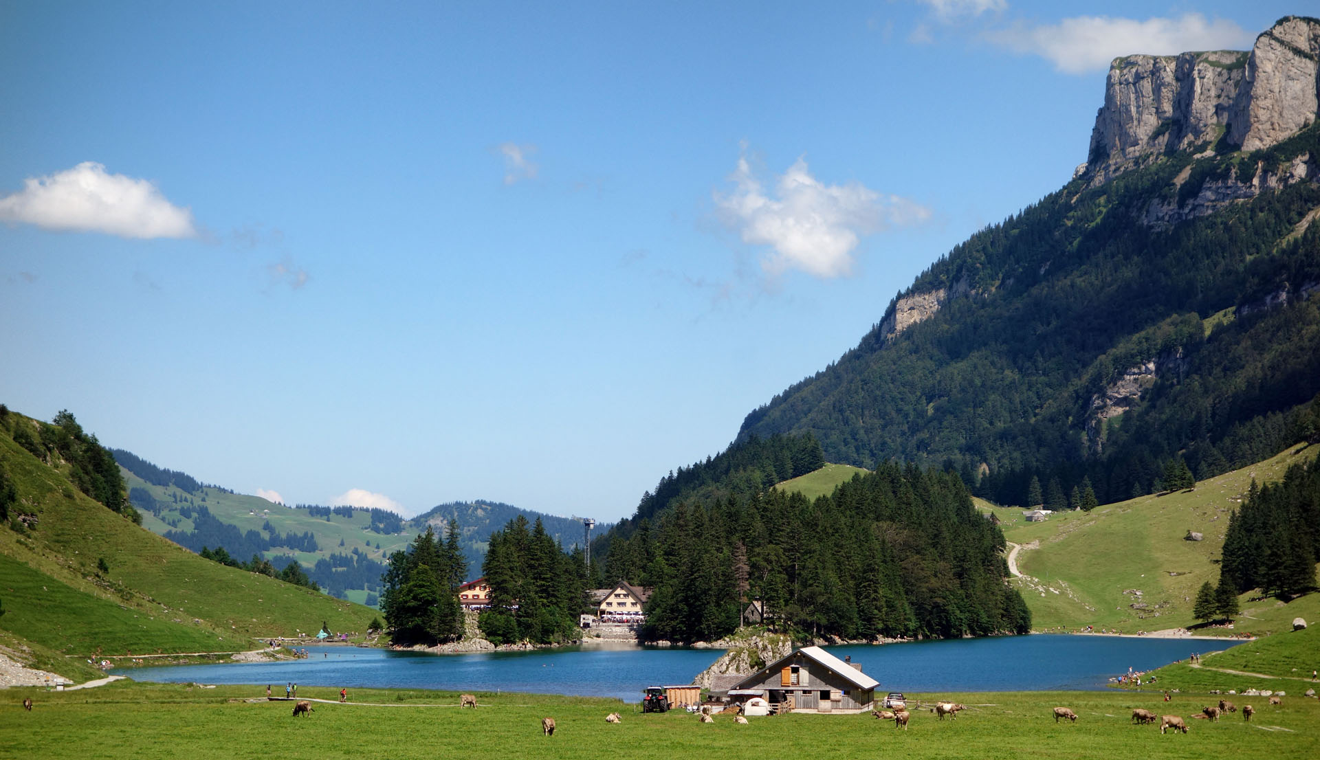 Alpen am Seealpsee