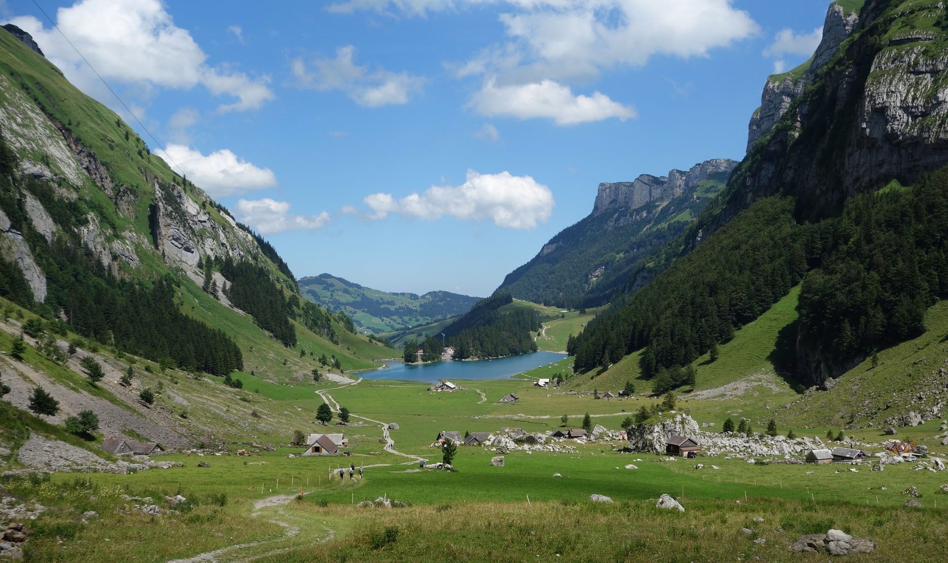 Alpwiesen vor Seealpsee