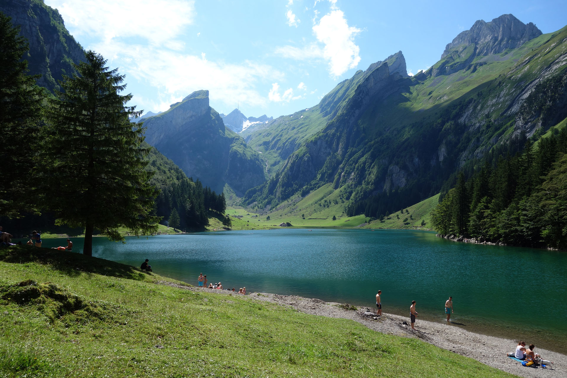 Schwimmen im Seealpsee