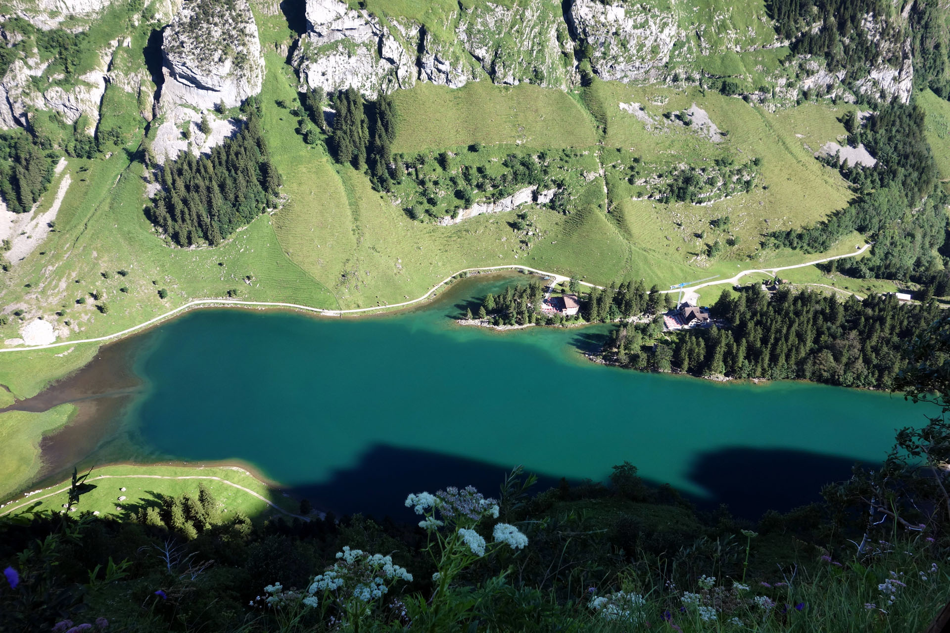 Türkiser Seealpsee von oben