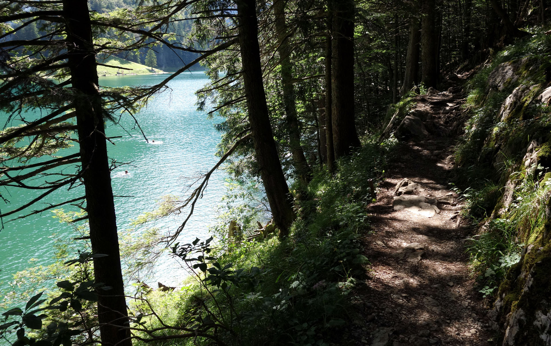 Waldweg am Seealpsee