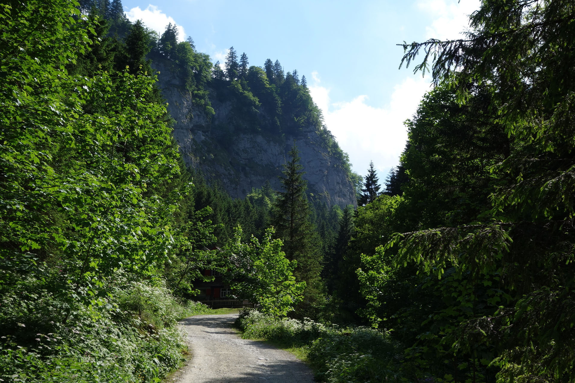 Brüeltobel