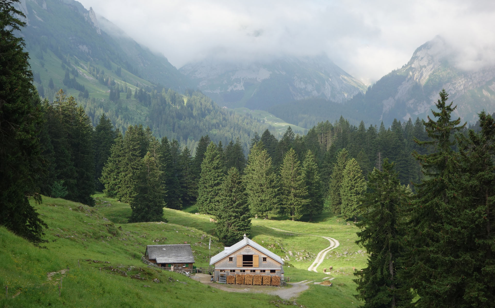 Brüllenstein