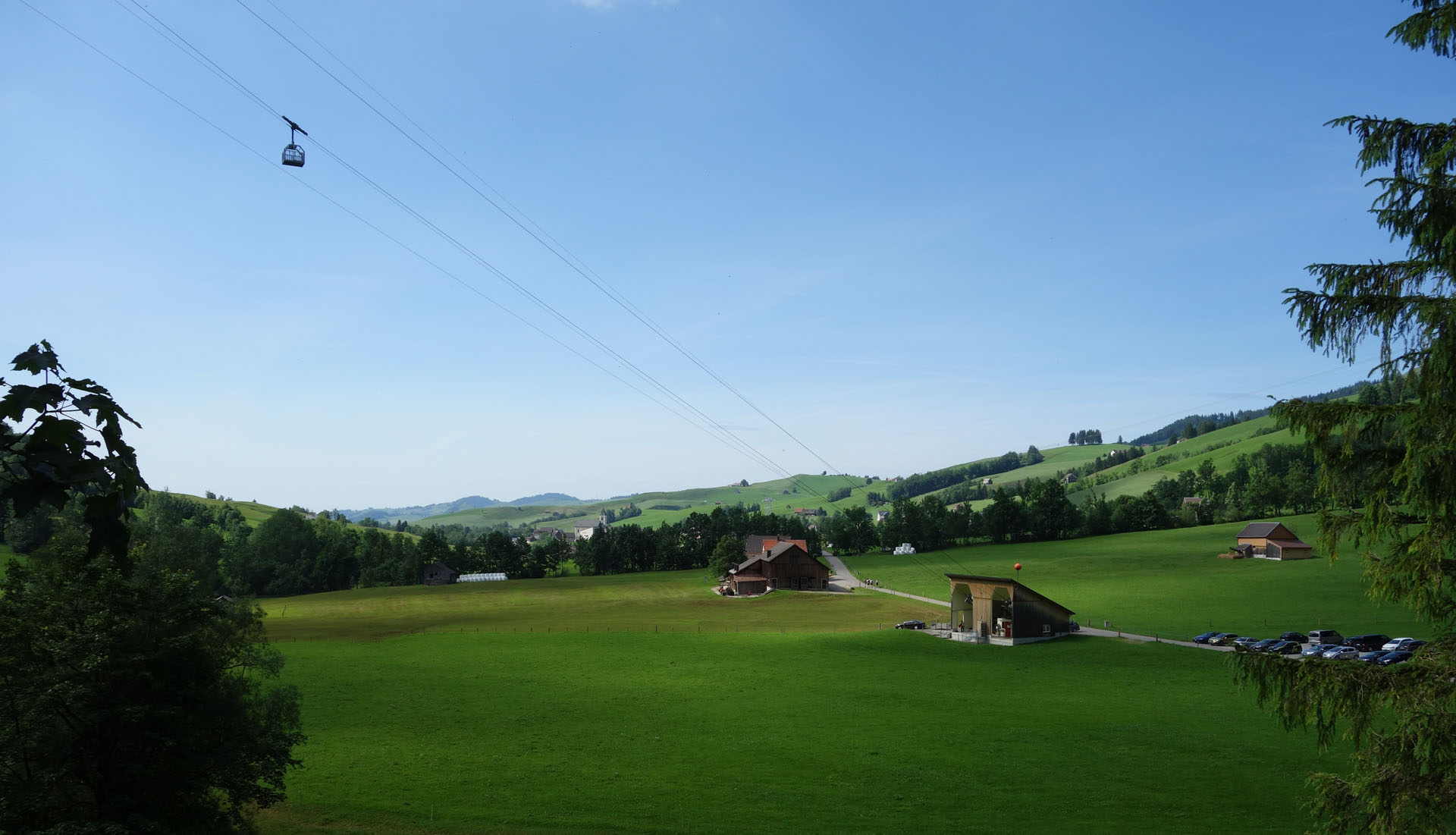Pfannenstiel