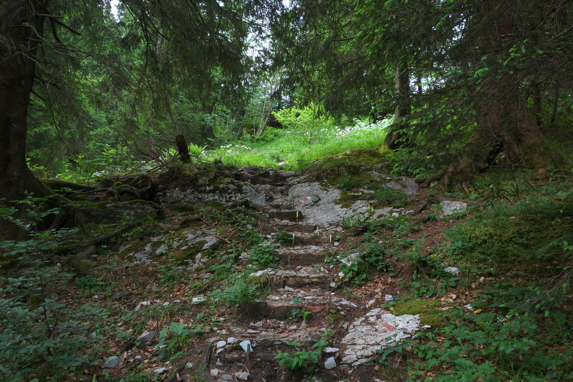 Wald