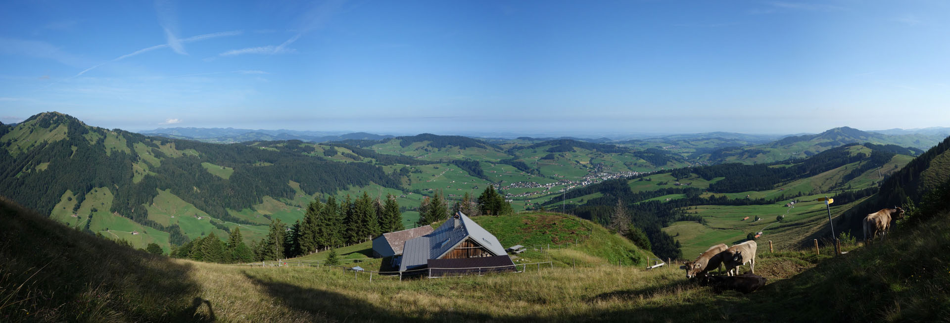 Alp Spitzli