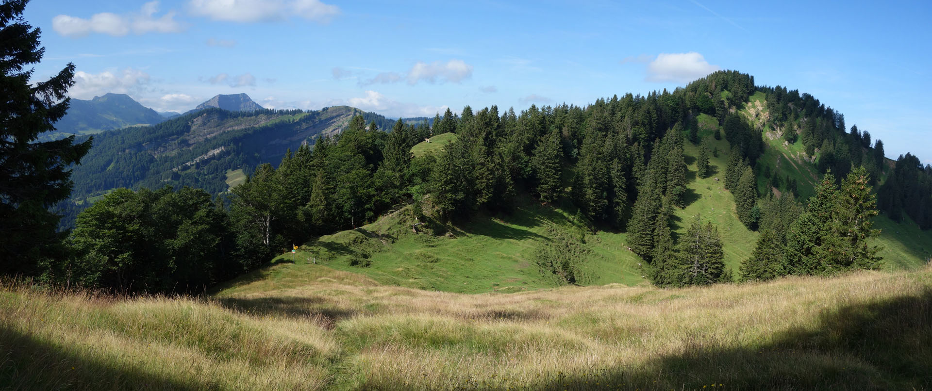Petersalp Spitzli