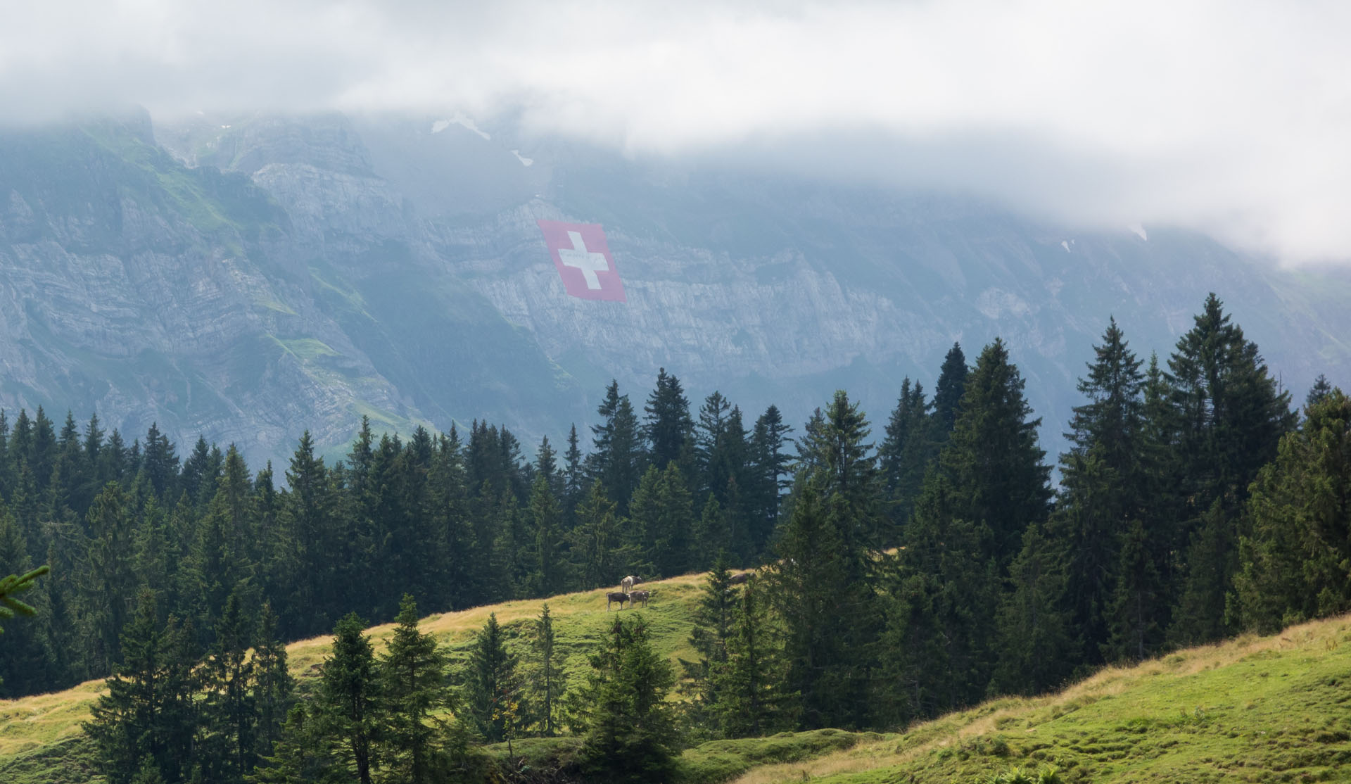 Schweizer Fahne am Säntis