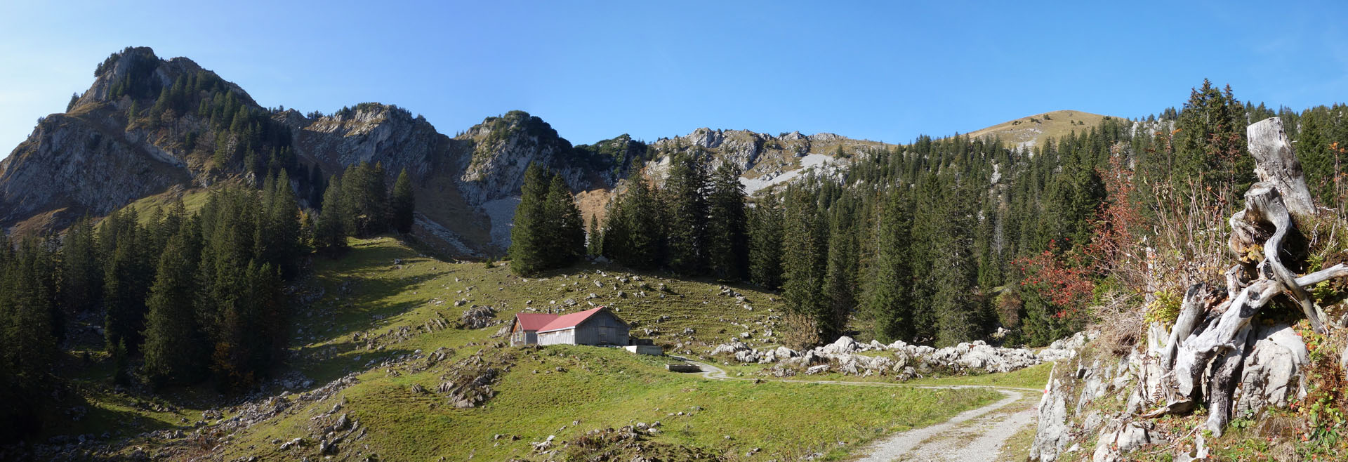 Alp Tal