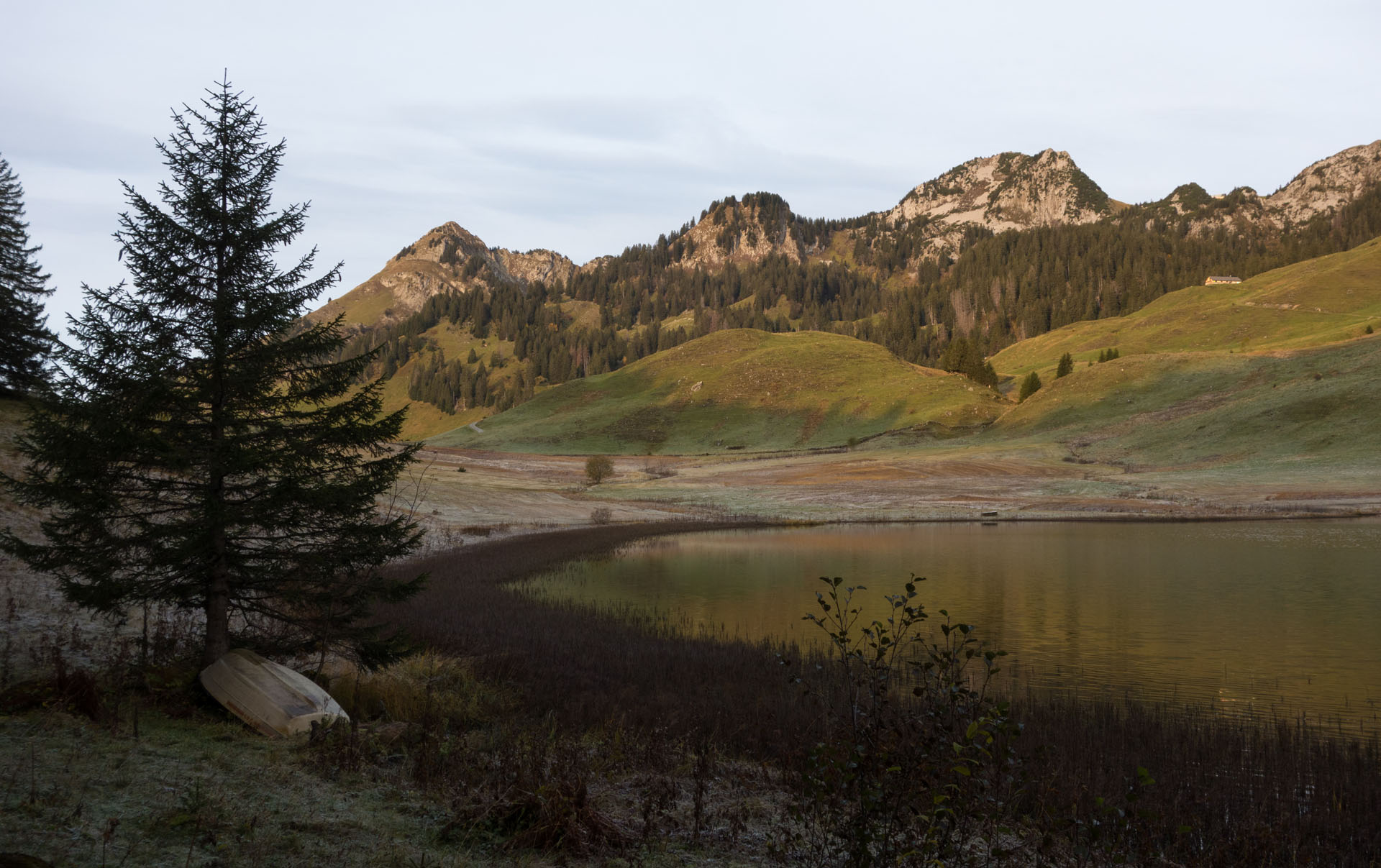 Gräppelensee