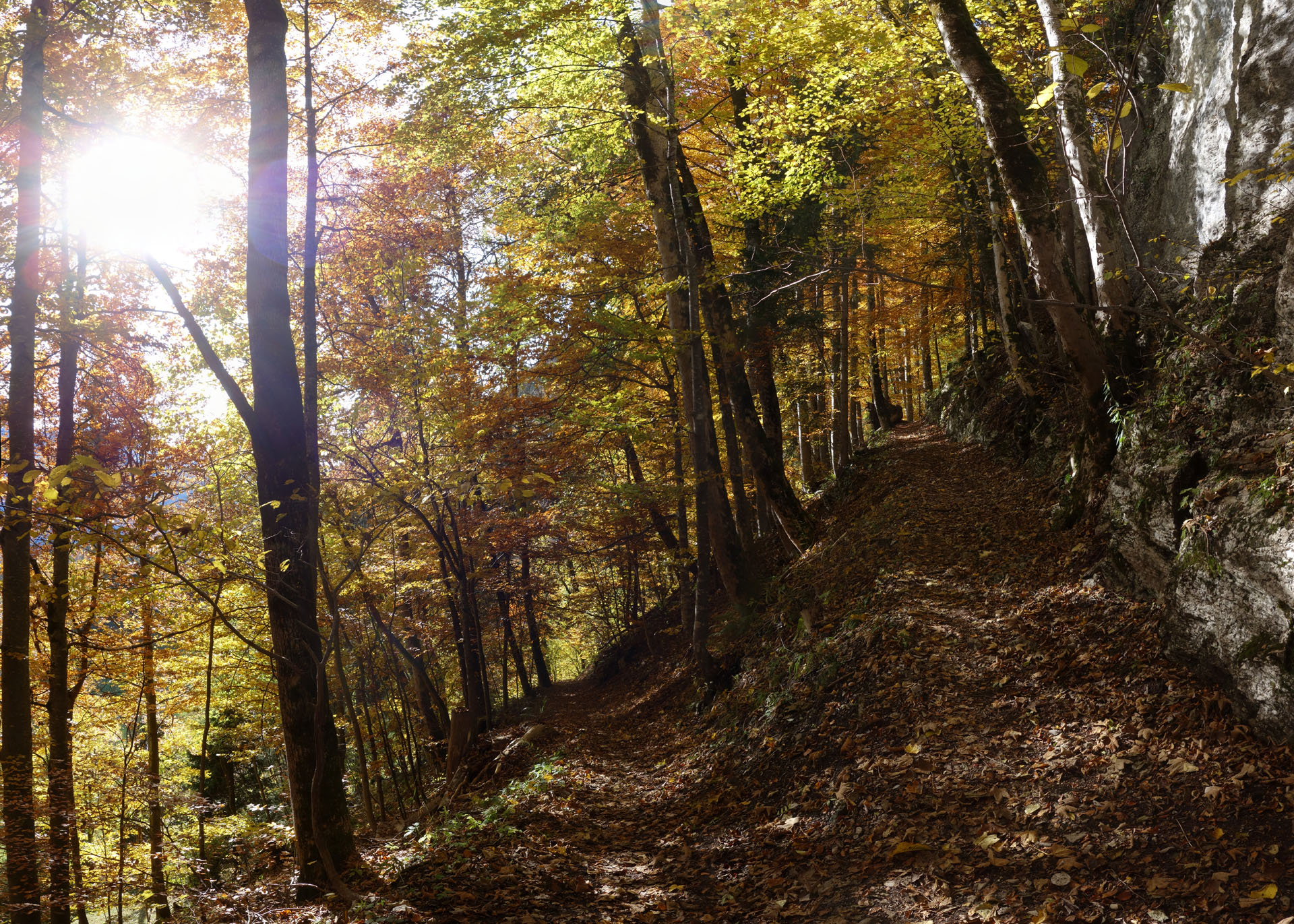 Herbstwanderung