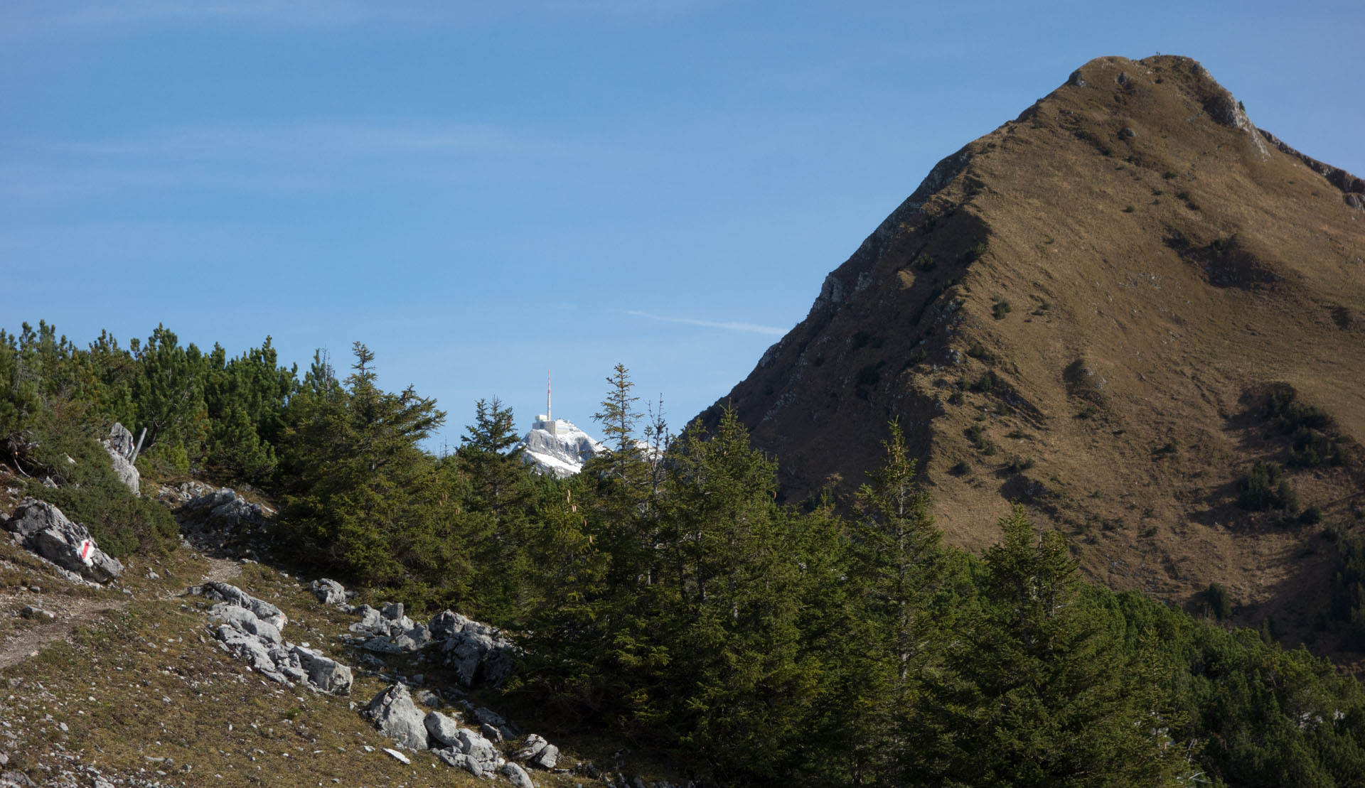 Lütispitz mit Säntis