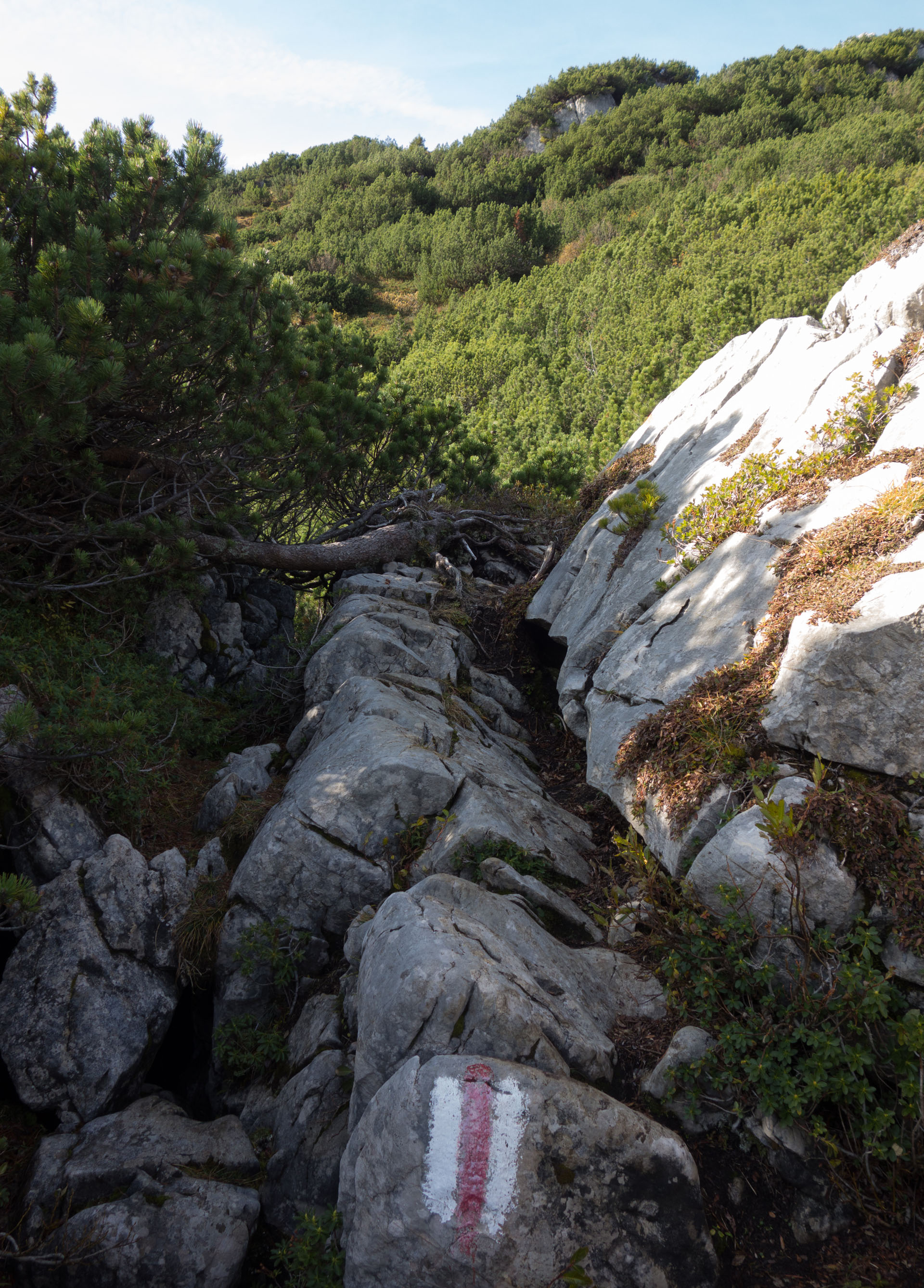 Schöner Wanderweg