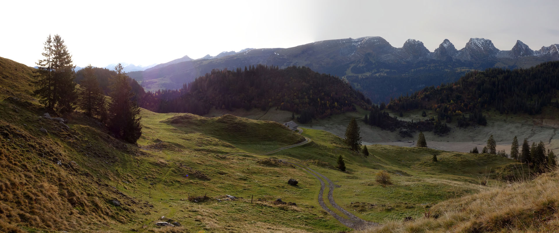 Wanderung Obertoggenburg