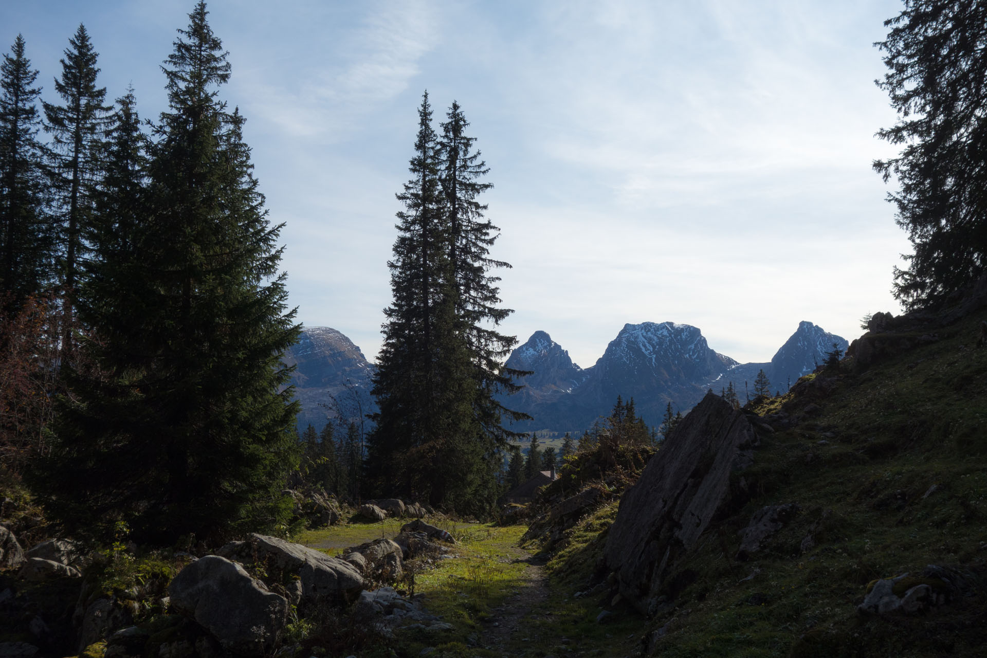 Wanderung Toggenburg