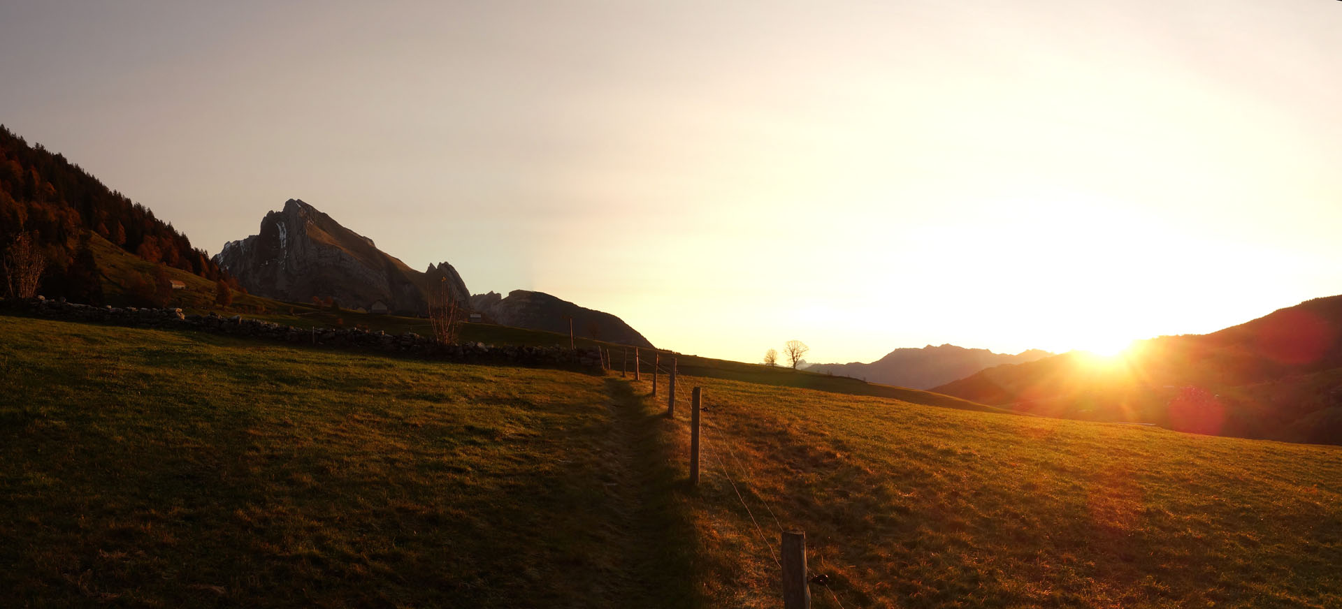 Wiese bei Sonnenaufgang