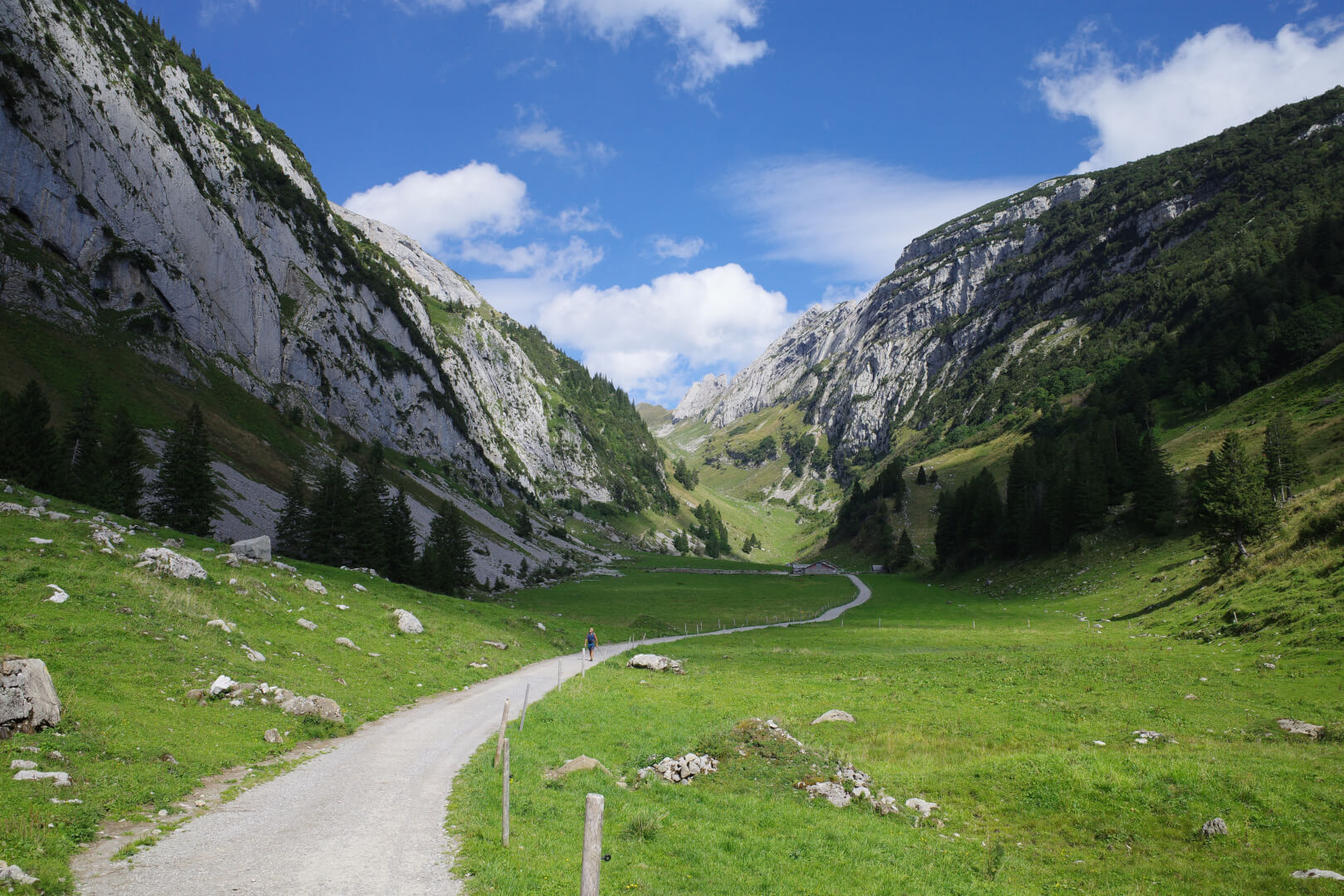 Fahrweg Alp Tesel