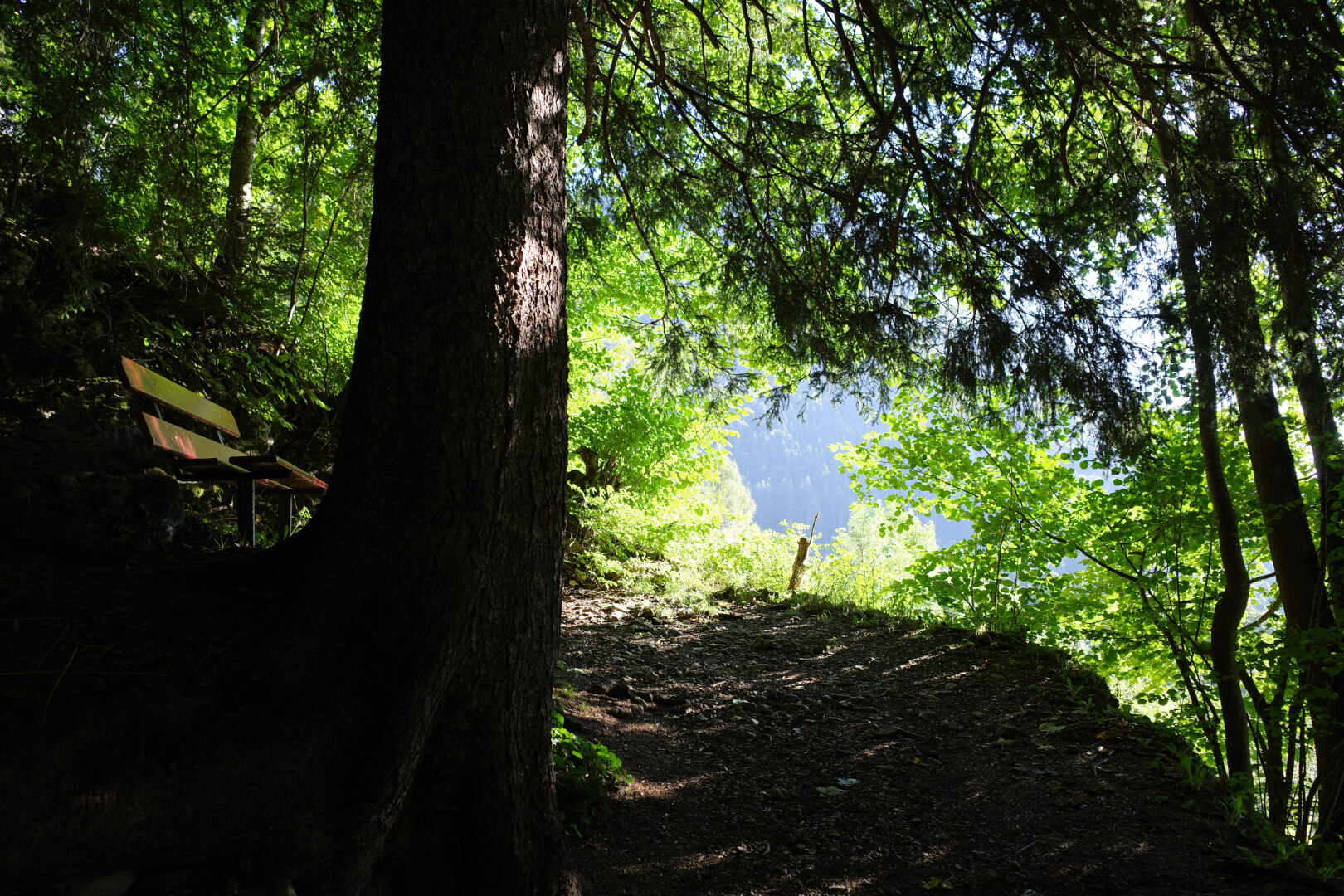 Wanderweg Gamplüt
