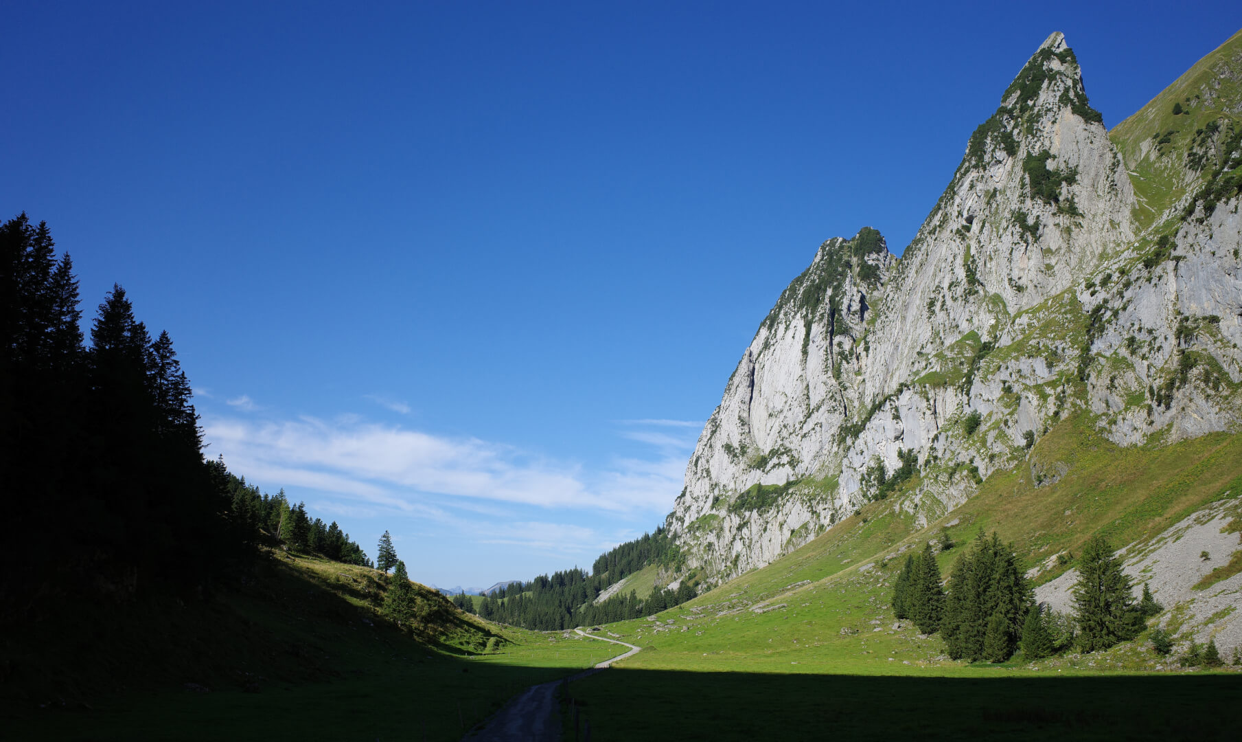 Zehespitz