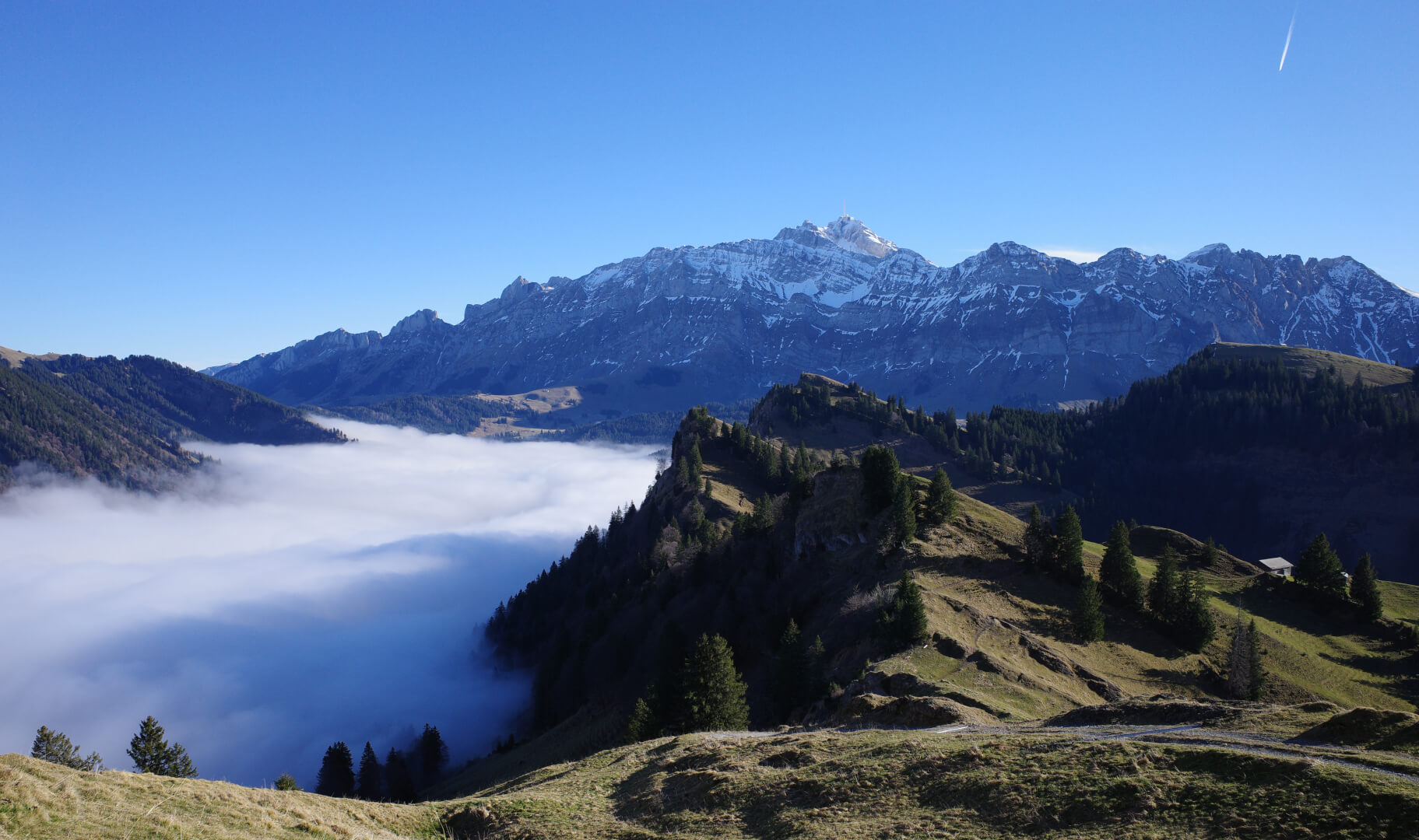 Blick von Hochalp zum Säntis