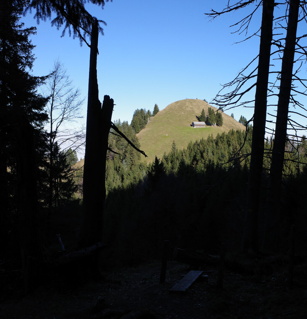 Haus auf steilem Grasberg
