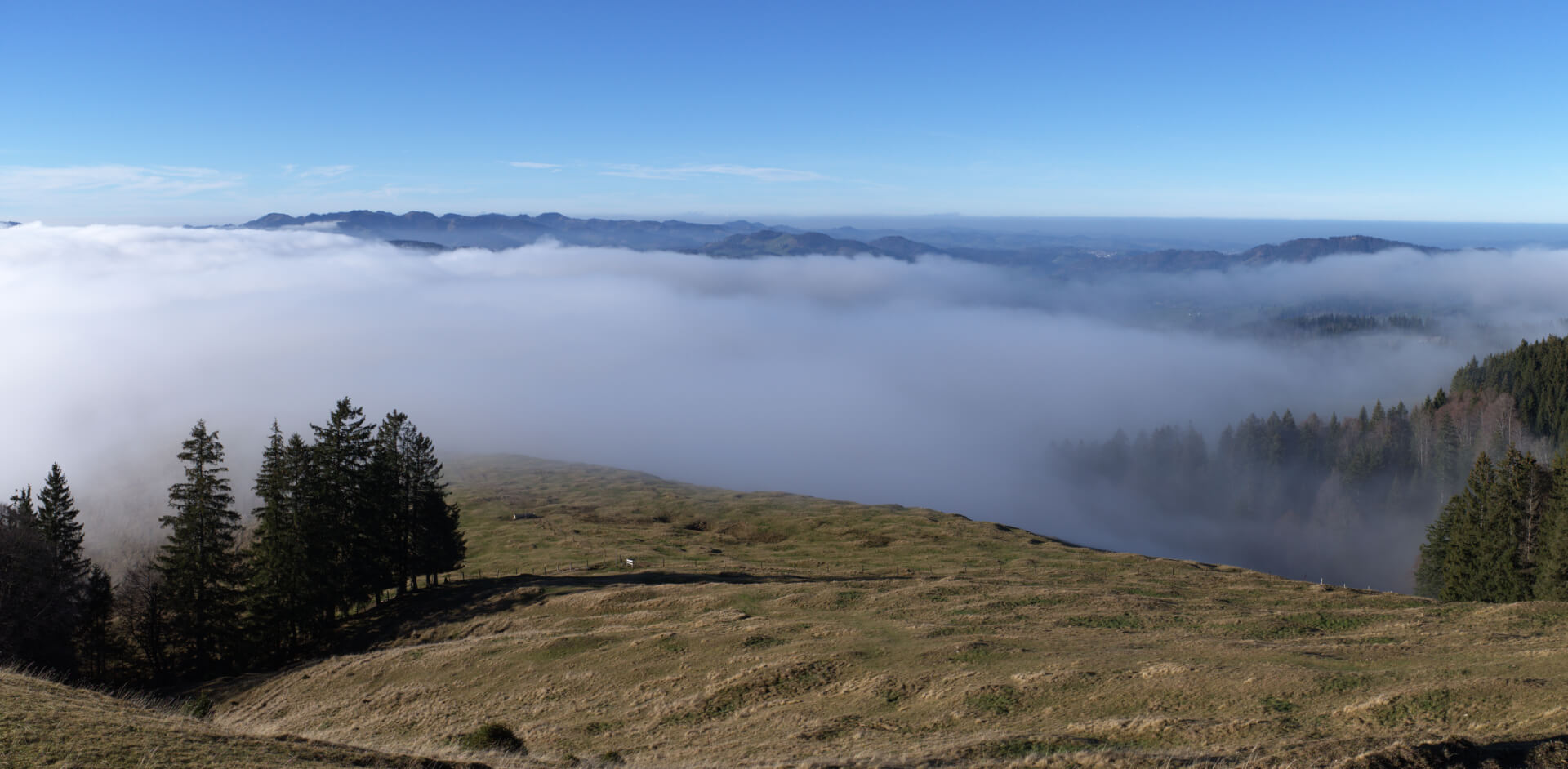 Knapp über dem Nebelmeer