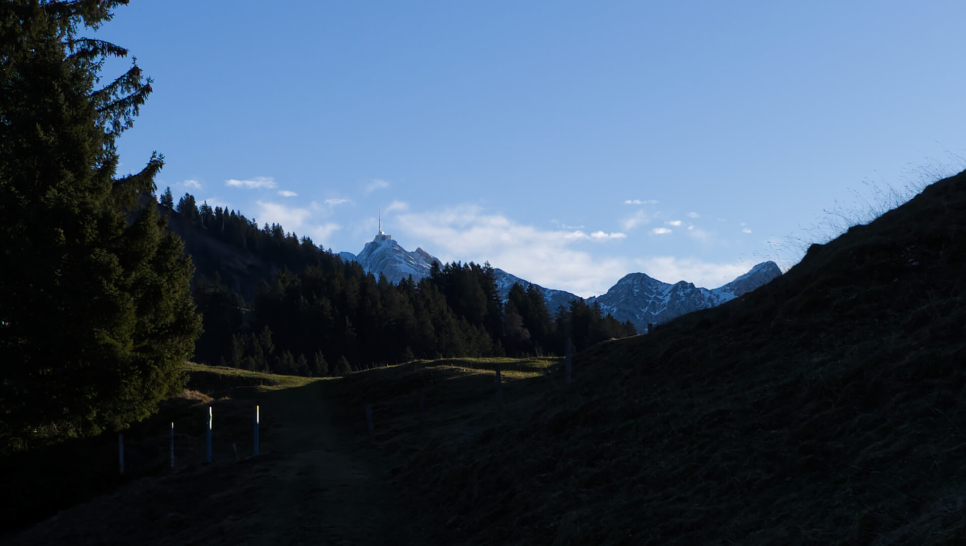 Säntis Gipfel hinter Bäumen