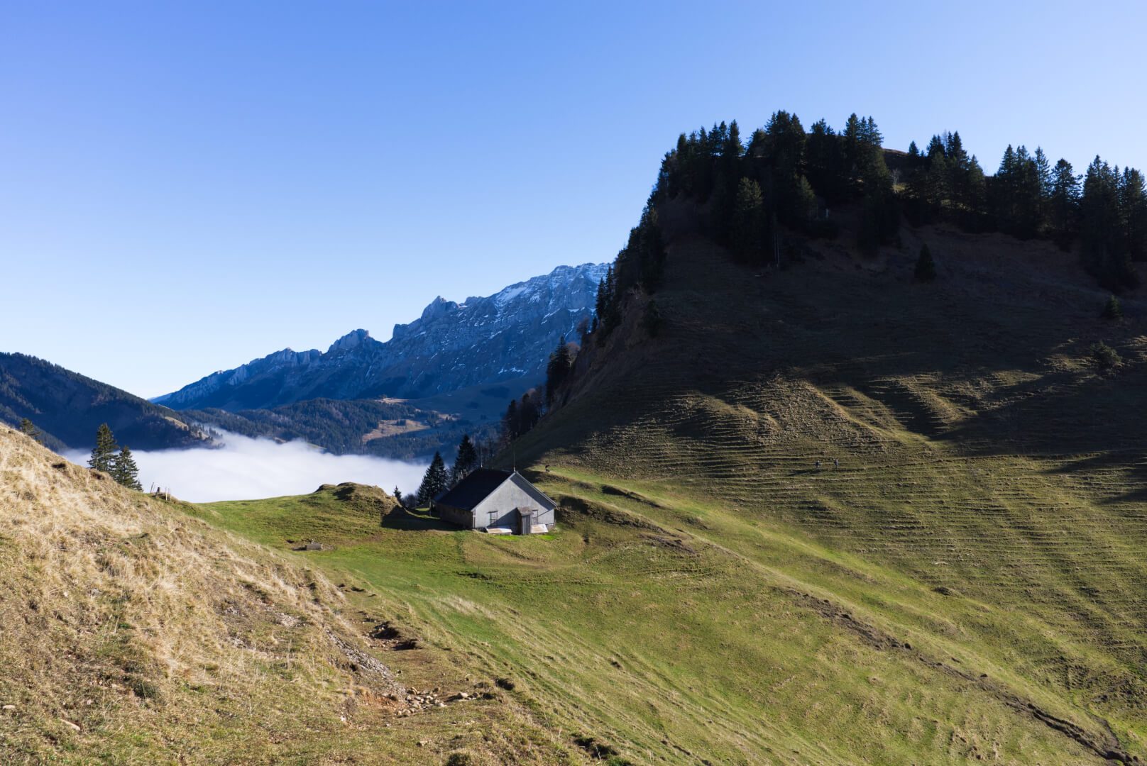 Wanderweg Hochalp Schwägalp